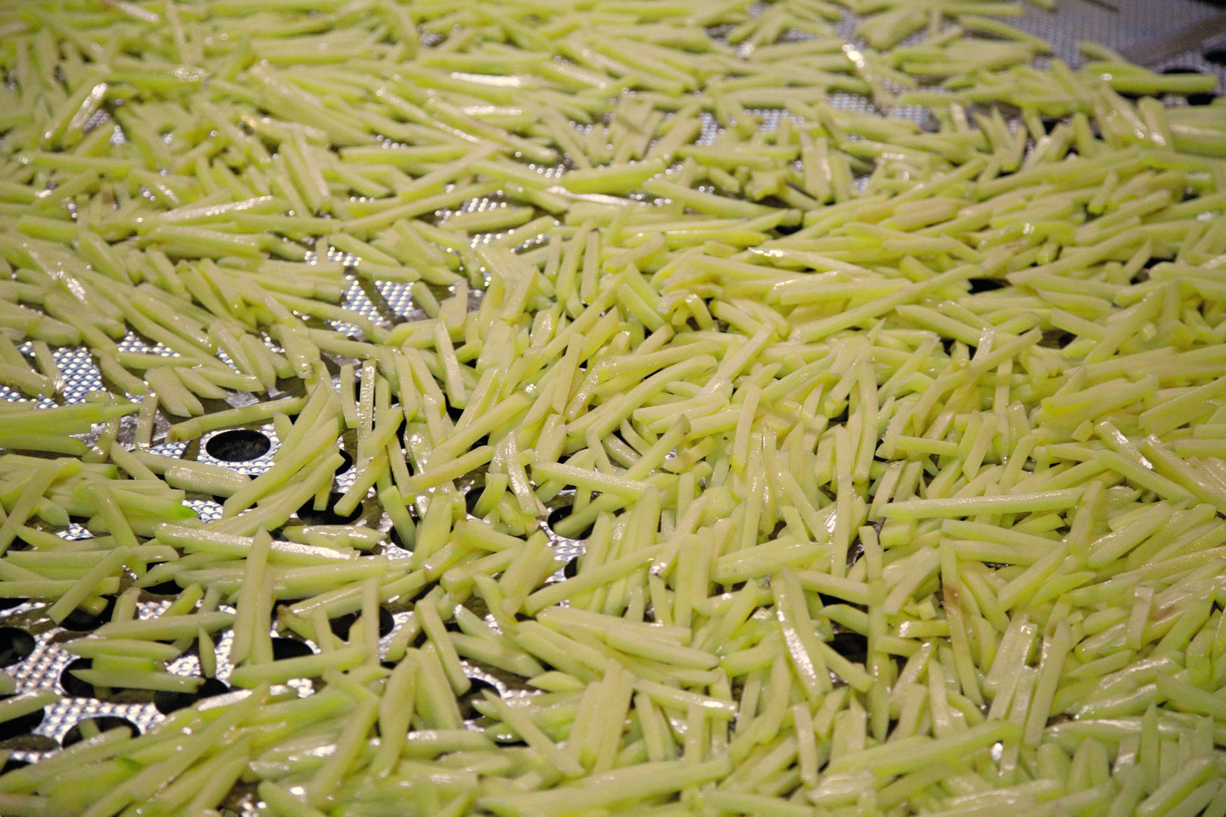 Diepvriesfrites uit Nederland, België en Duitsland mogen Colombia weer in zonder antidumpingsheffingen. Foto: Jan Willem Schouten