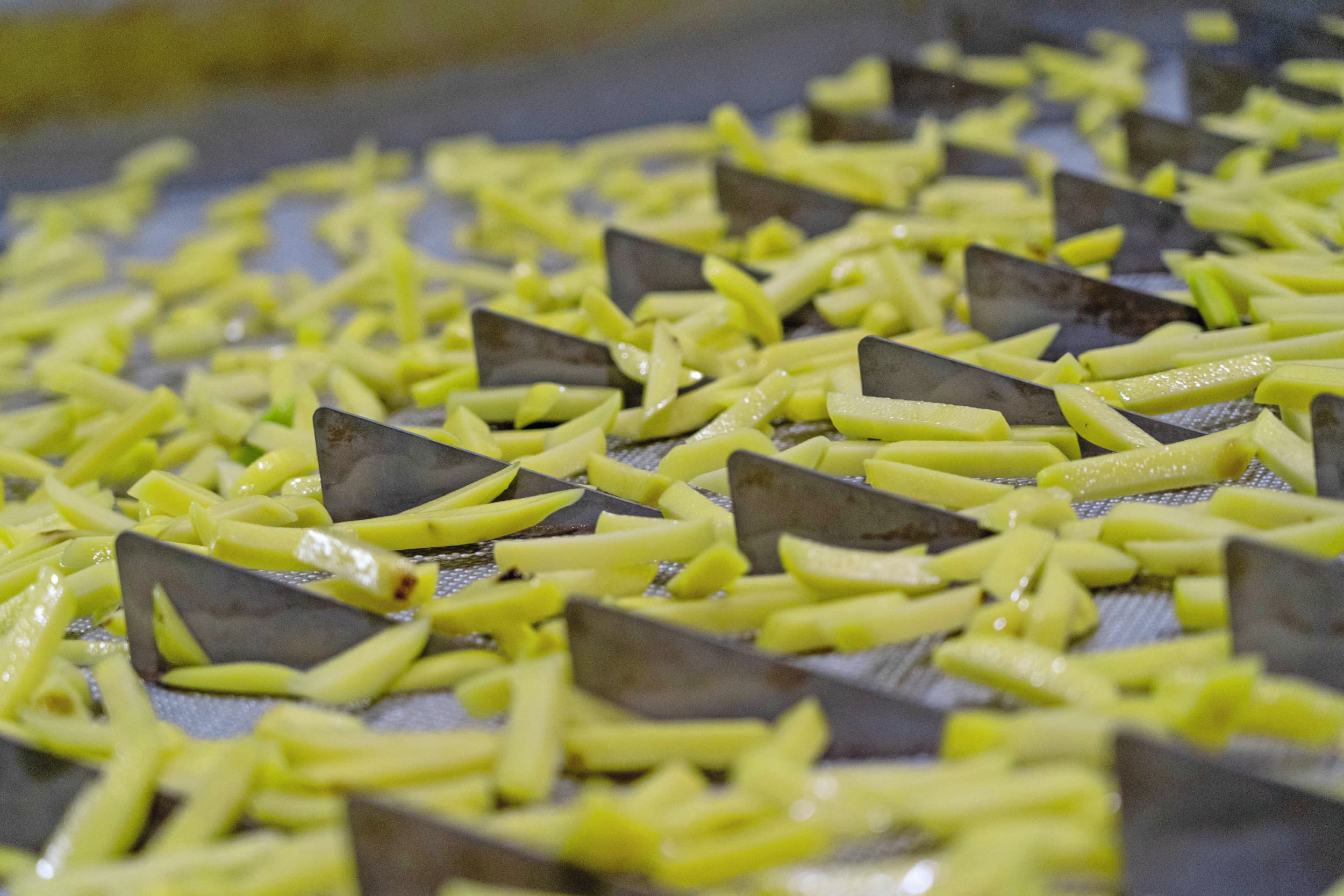 fritesproductie gestopt clarebout