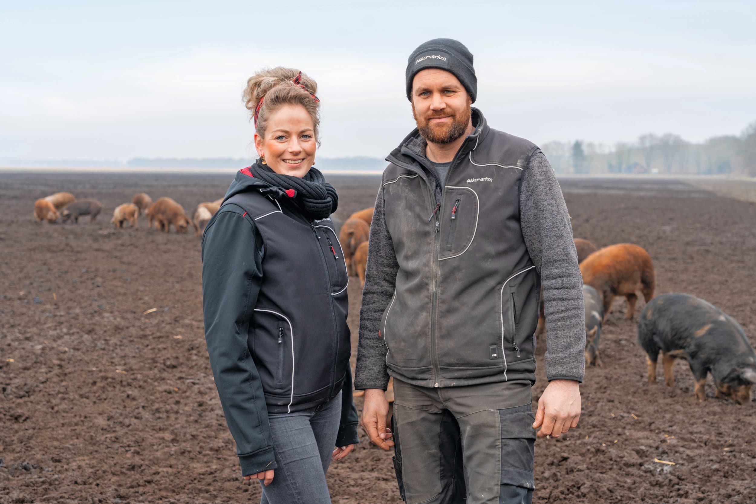 Akkervarken natuurbeheer voedselproductie