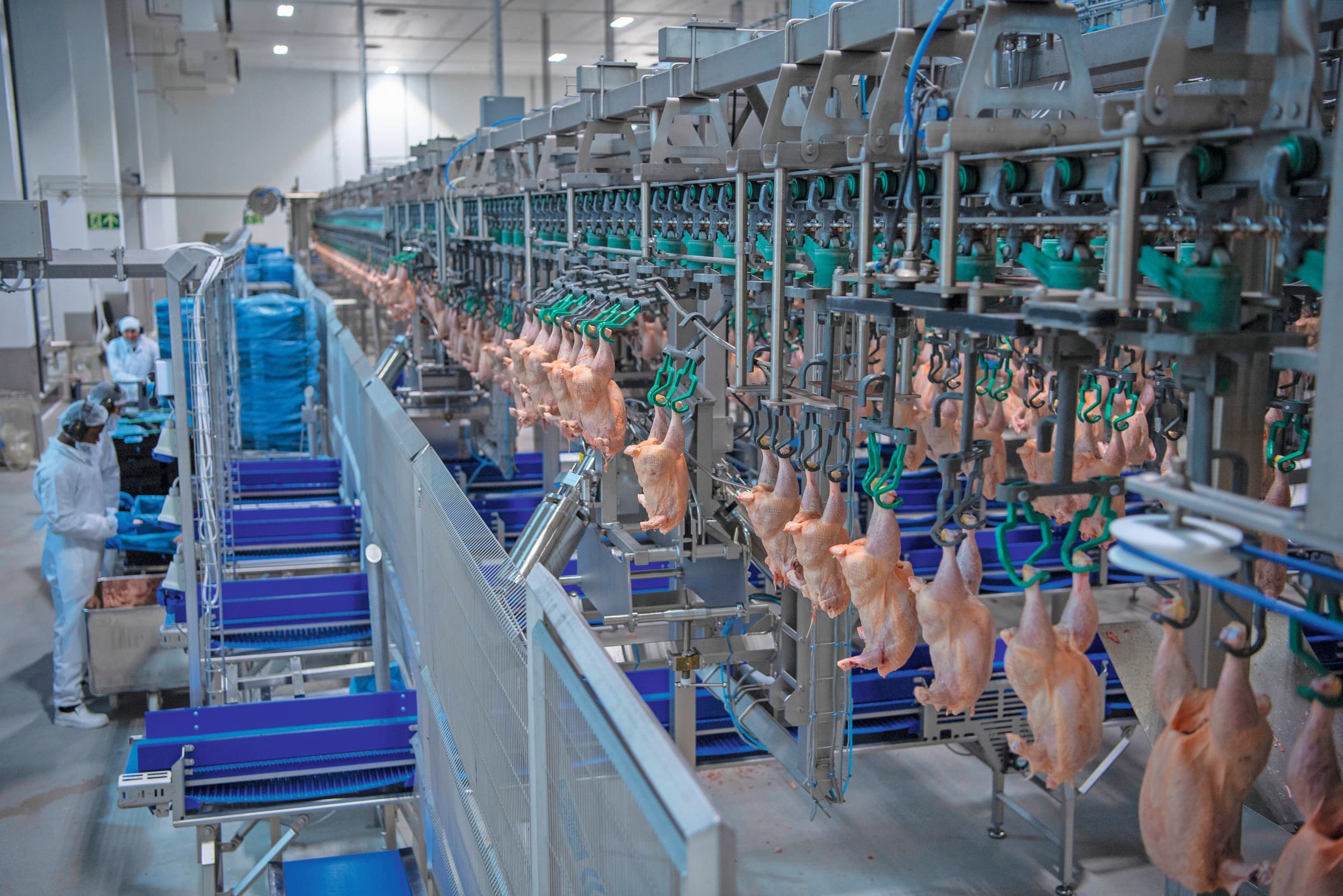 pluimveesector Midden-Oosten oorlog ontregeling