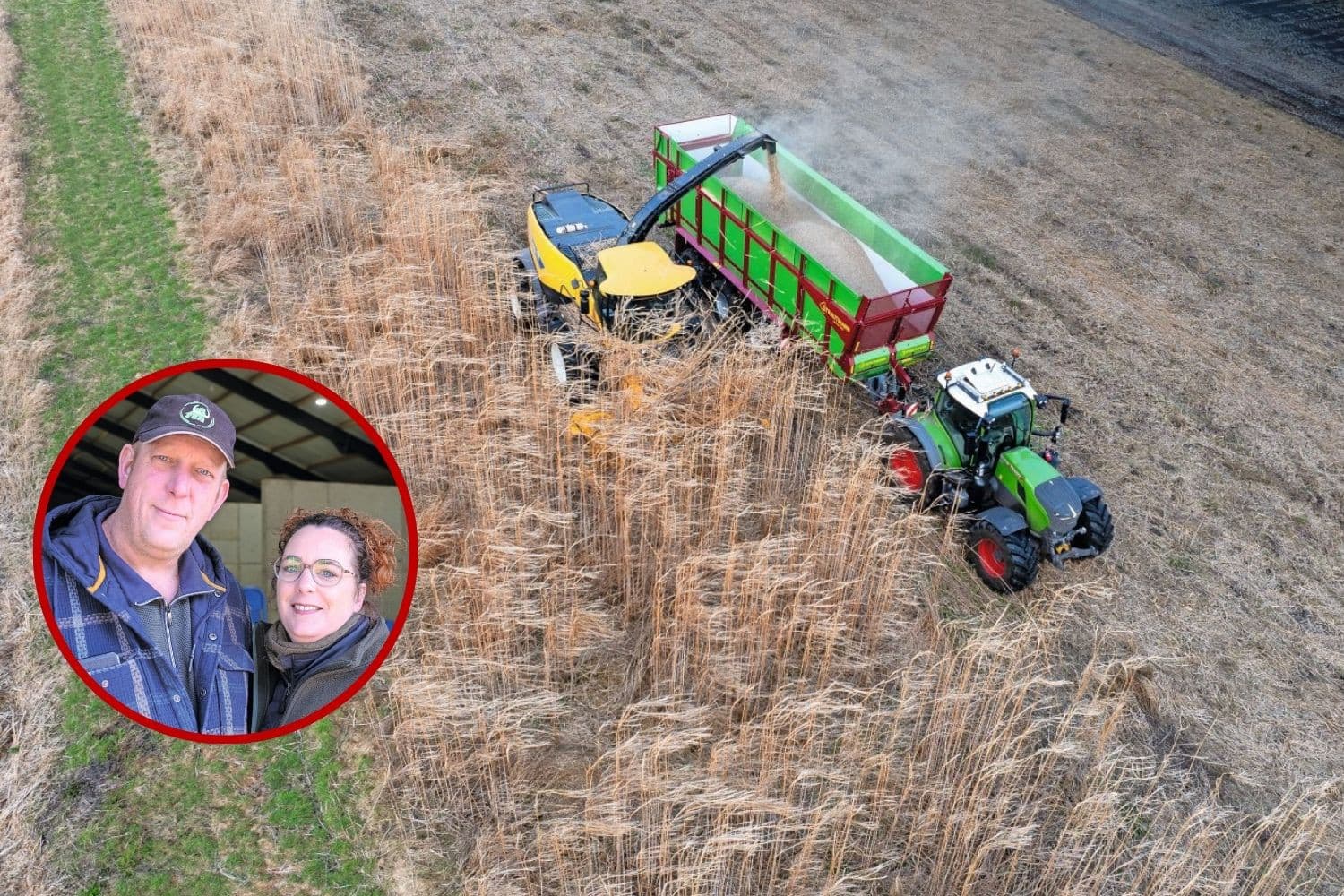 Koos (49) en Jaimy Vos (48). Op 10 maart oogst Vos mammoetgras op zijn perceel in 2e Exloërmond. Er is veel vraag naar mammoetgrasvezels. Diverse bouwbedrijven benaderen Vos spontaan om te experimenteren met de vezels. Foto's: Jan Willem van Vliet