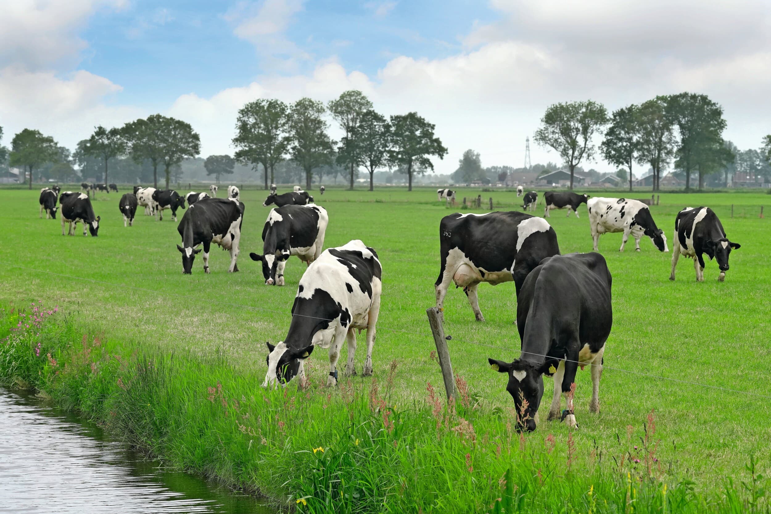 duurste landbouwgrond Overijssel