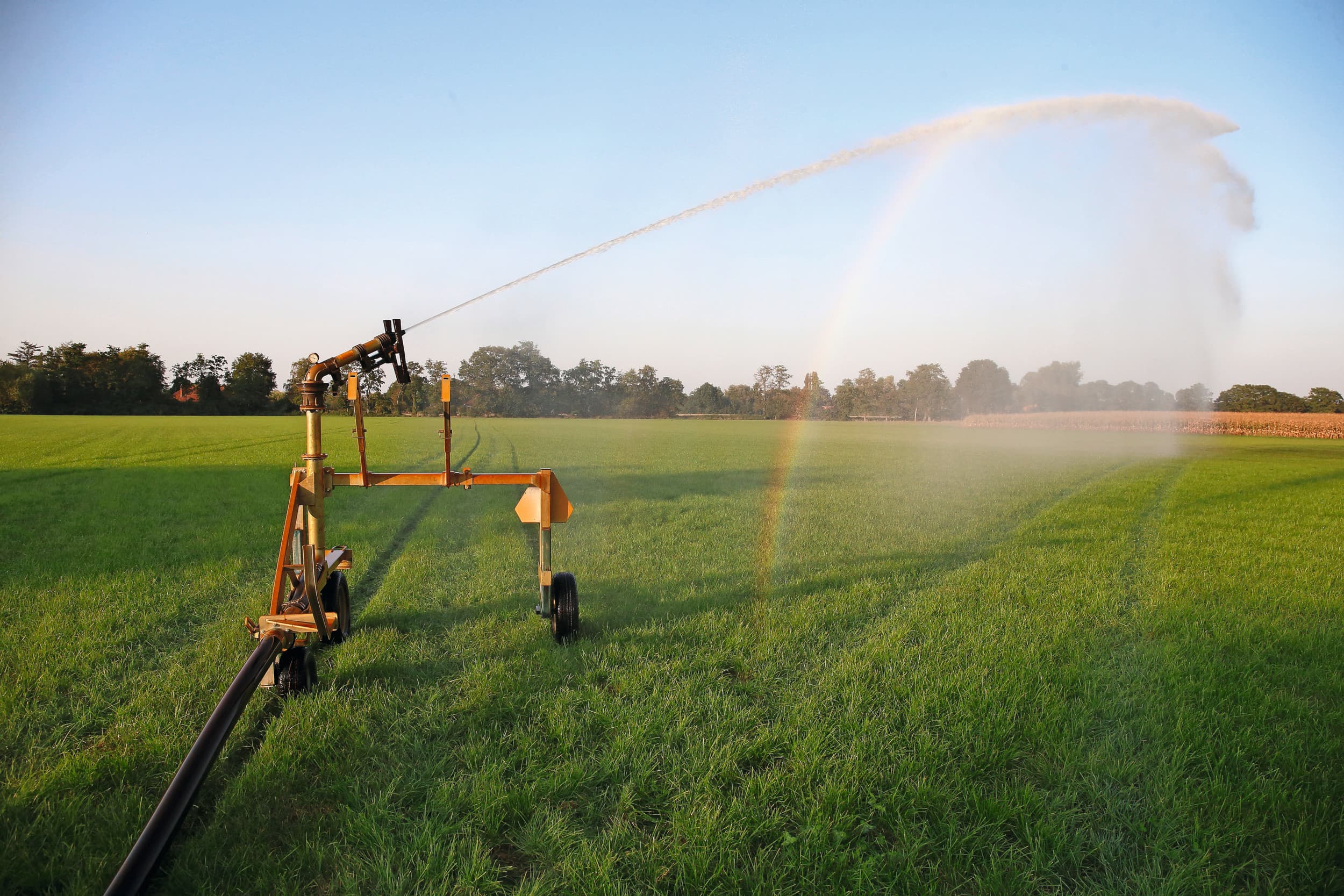 Beregening op grasland is bij droogte minder effectief dan beregening van snijmais, blijkt uit een analyse op Agro-innovatiecentrum De Marke. Foto: Hans Prinsen