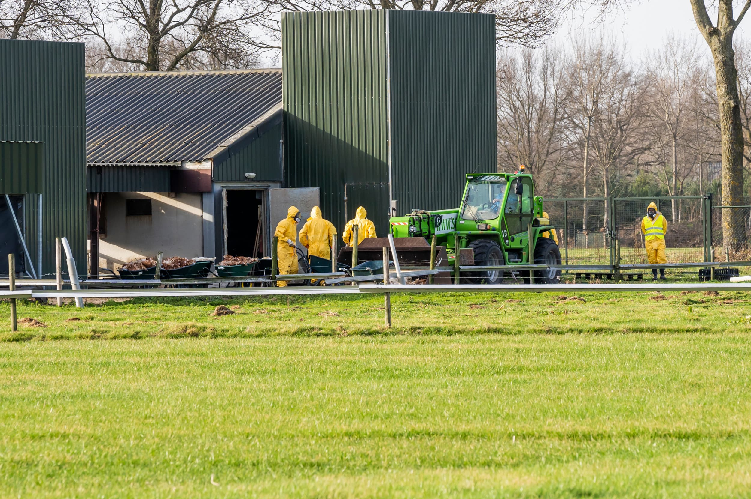 Welk ijkmoment telt bij ruiming wegens vogelgriep? Rechter verhoogt vergoeding met ruim €7.500 na discussie over belmoment. Foto: Bert Jansen