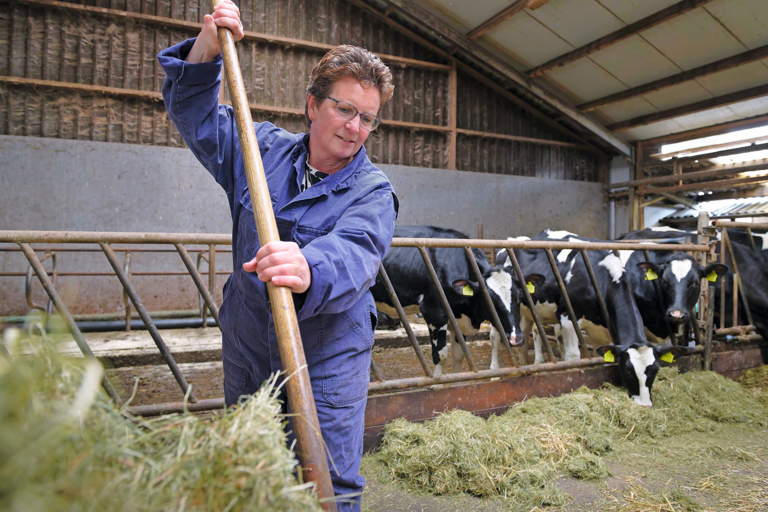 kleinkinderen op de boerderij