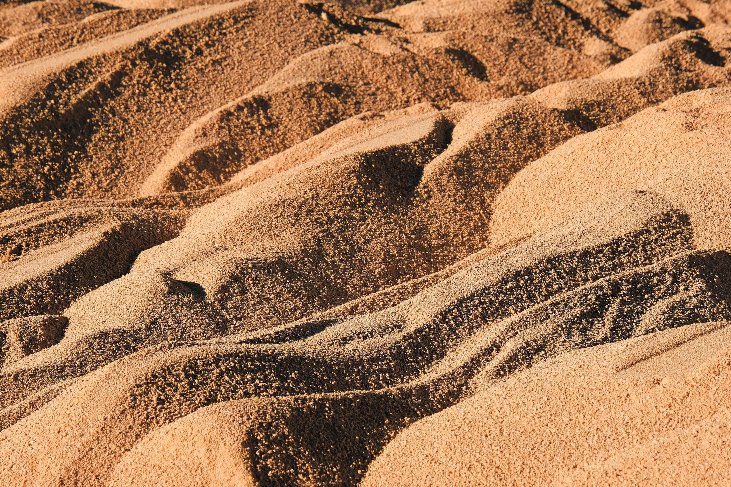 Begin dit jaar maakte de brancheorganisatie van sojahandelaren in Brazilië bekend zich uit het Sojamoratorium terug te trekken. Foto: Twan Wiermans