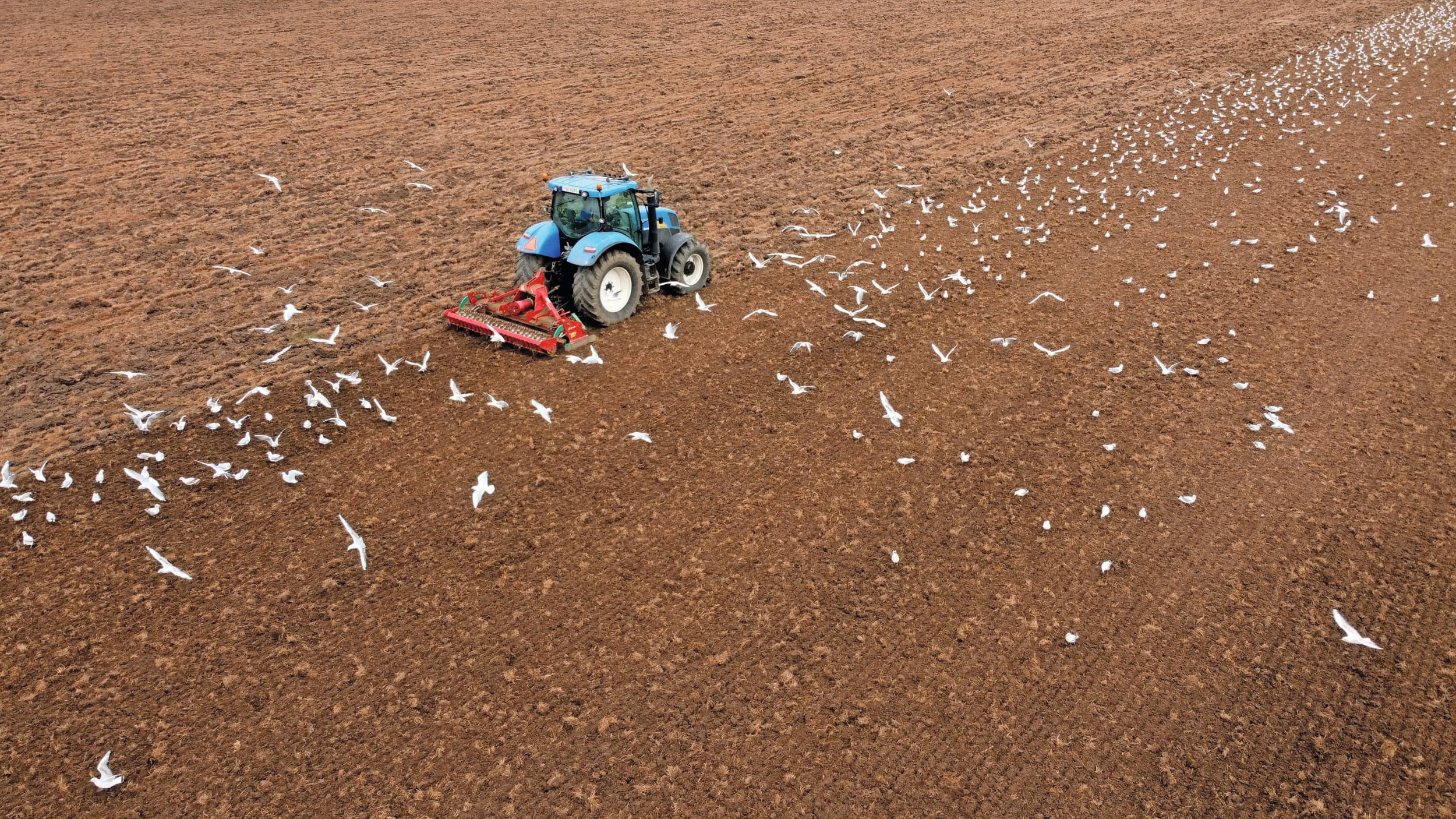 gemiddelde grondprijs per hectare