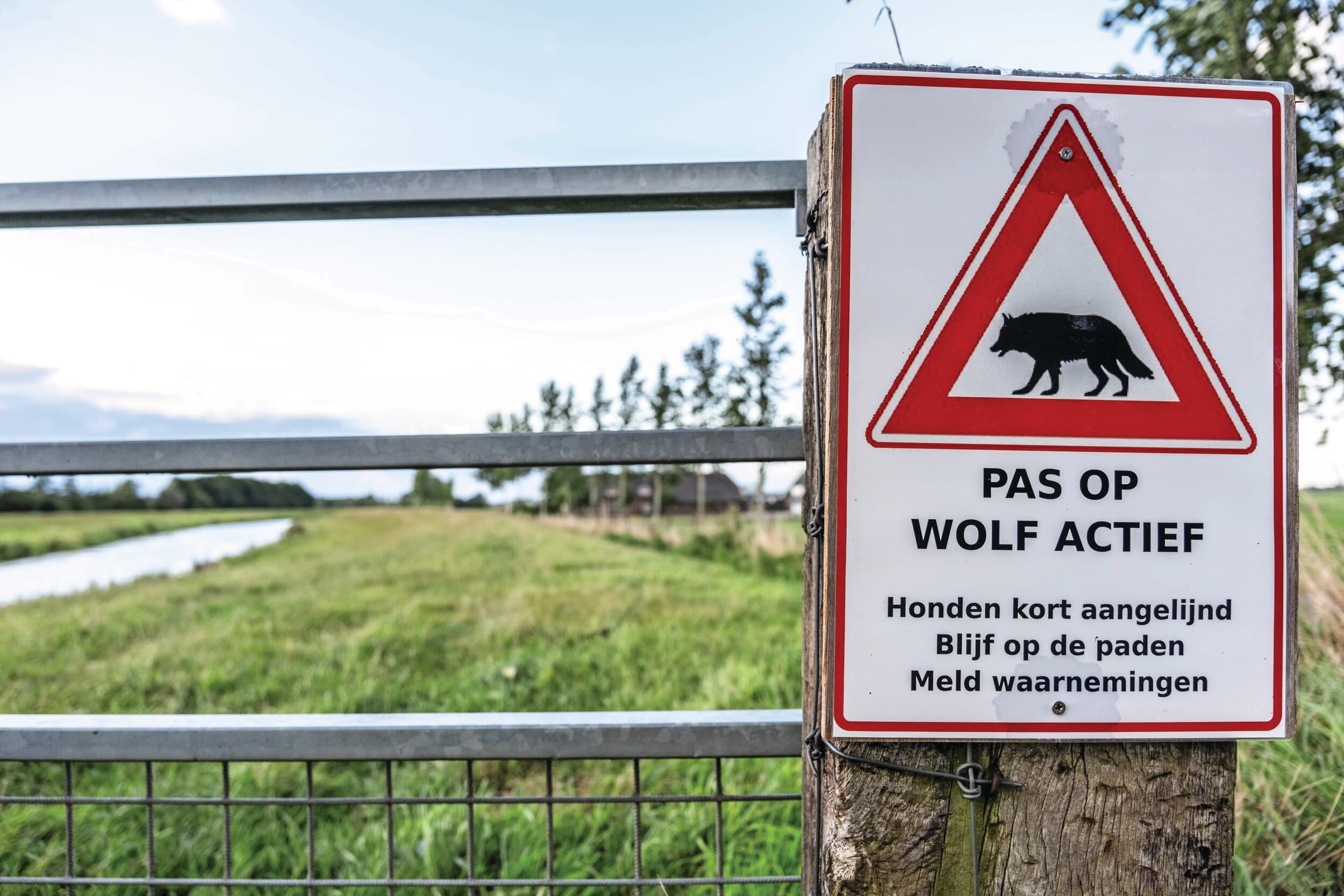 Waarschuwingsbord voor een actieve wolf. 70% van de wolven in Nederland is hier geboren. Foto: ANP