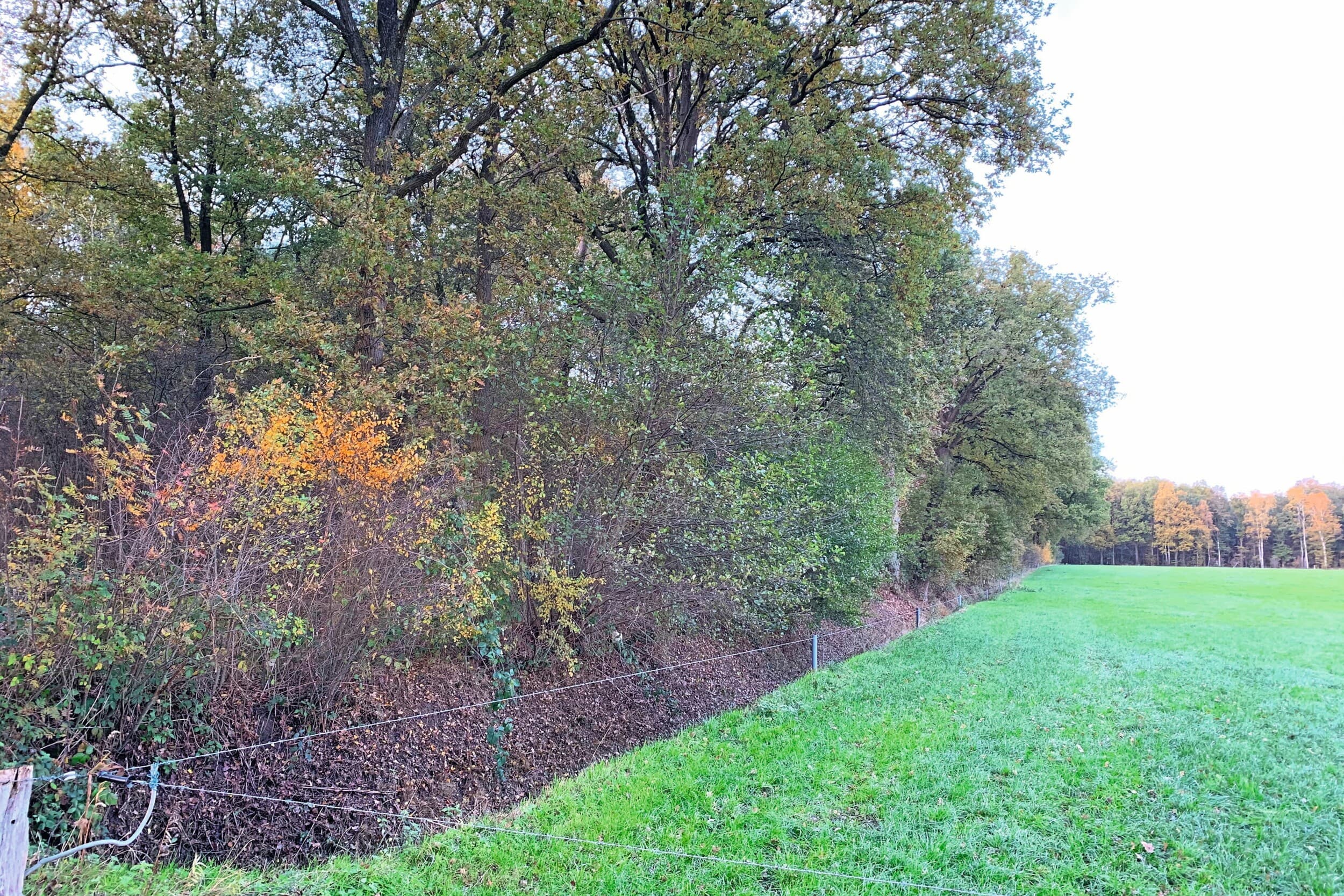 natuurplan Coevorden landbouw