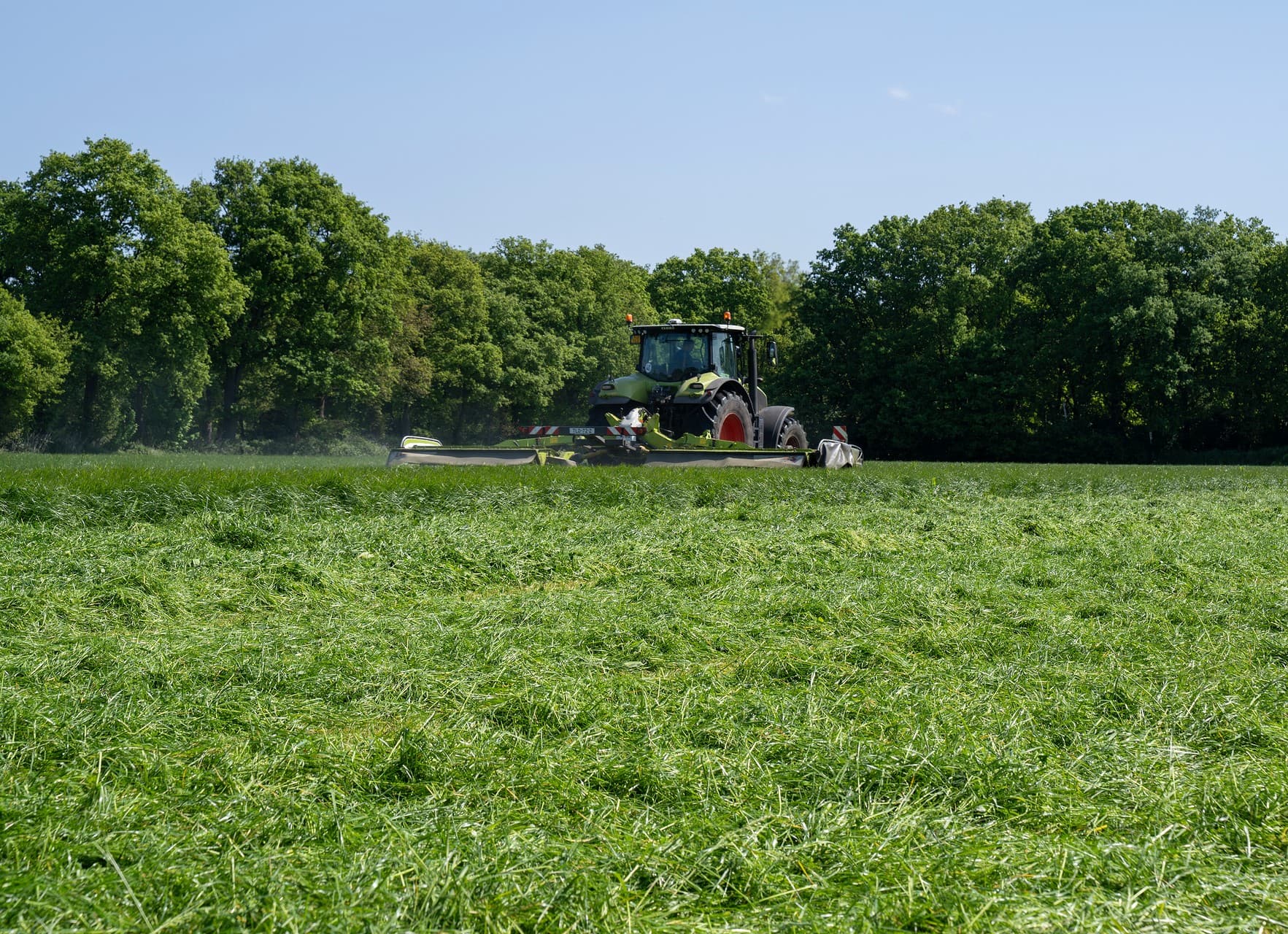 Eerste grassnede bevat veel suiker. Foto's: Barenbrug