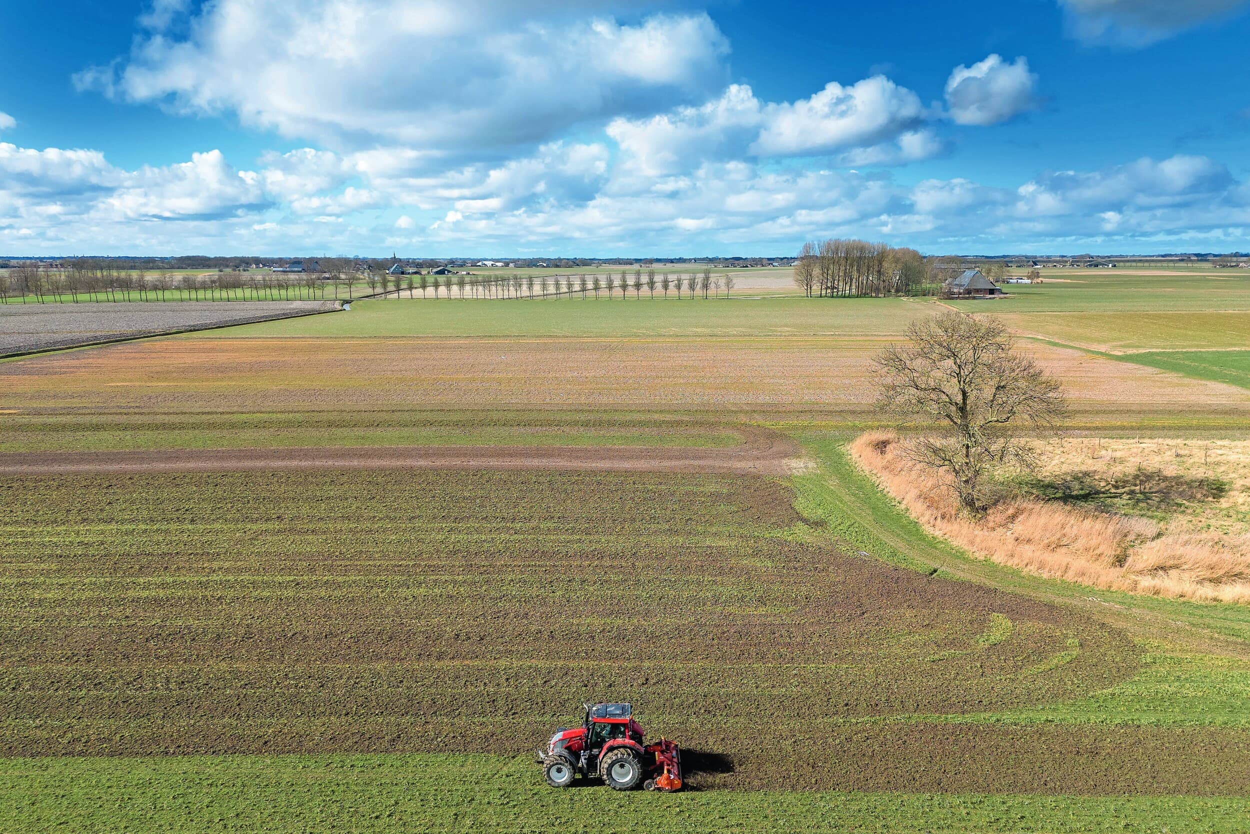 Voorjaarsactiviteiten: het onderwerken van een groenbemester. Groenbedekking in het voorjaar is een van eco-activiteiten waar veel om te doen is. Foto: Mark Pasveer