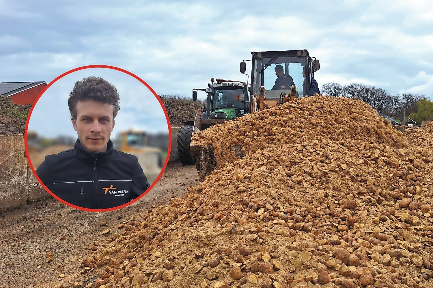 aardappelen rundveerantsoen