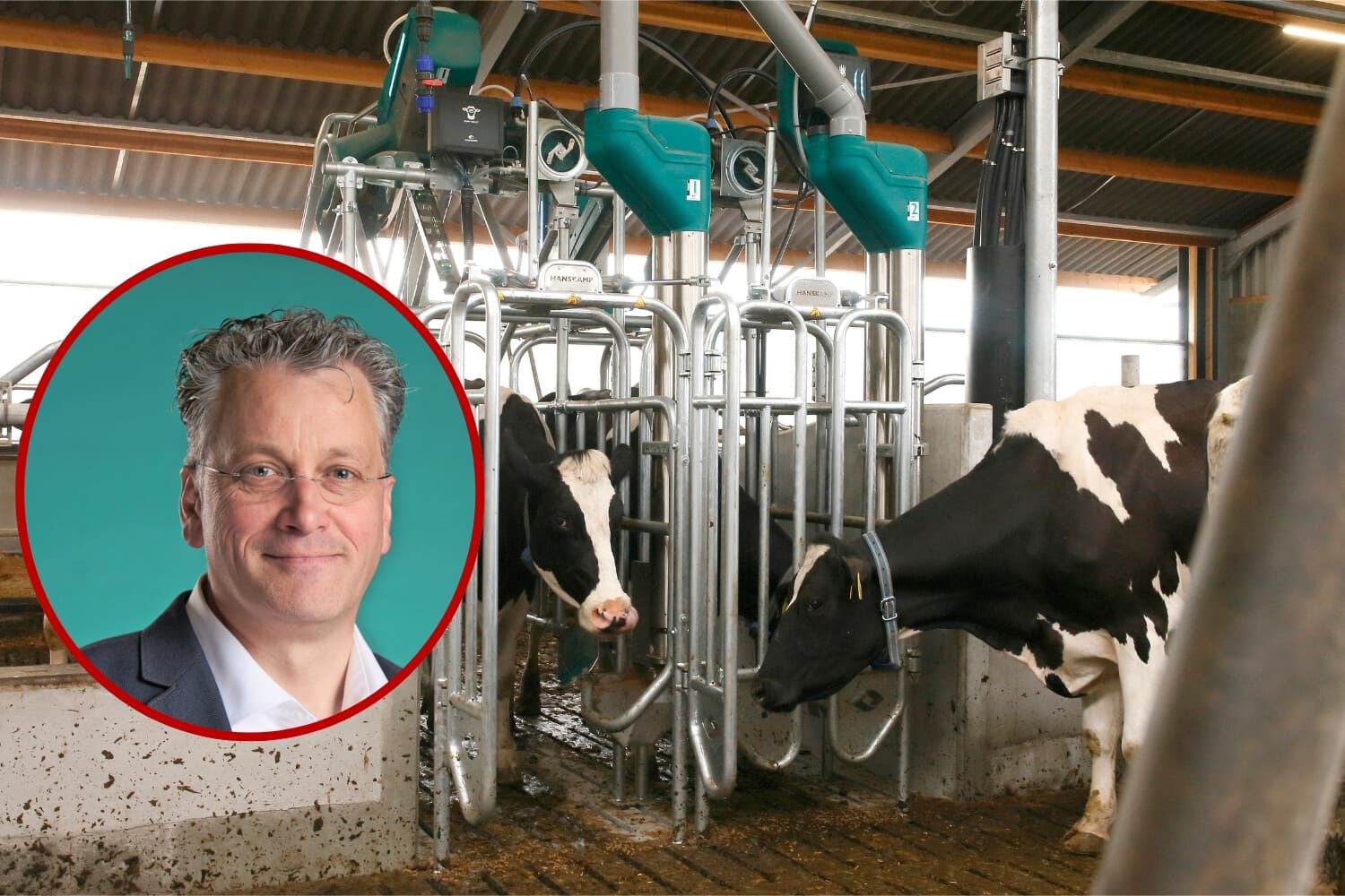 Koeienurine CowToilet als biologische meststof