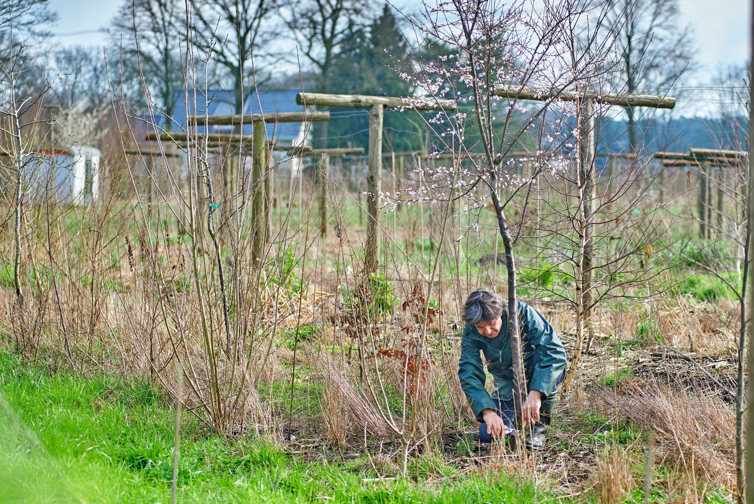 Aanleg van een voedselbos. Foto: Van Assendelft Fotografie