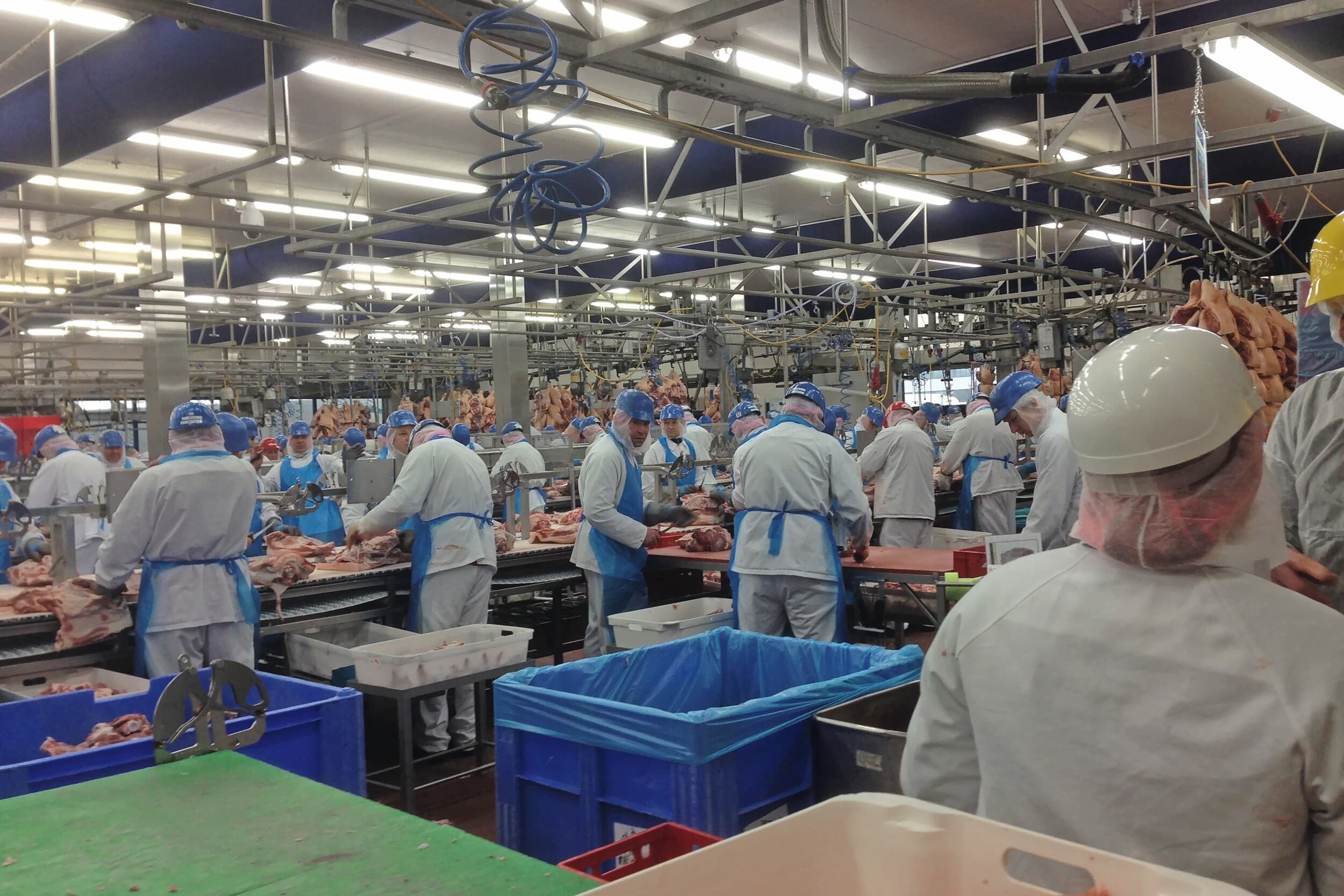 vleessector controle arbeidsomstandigheden