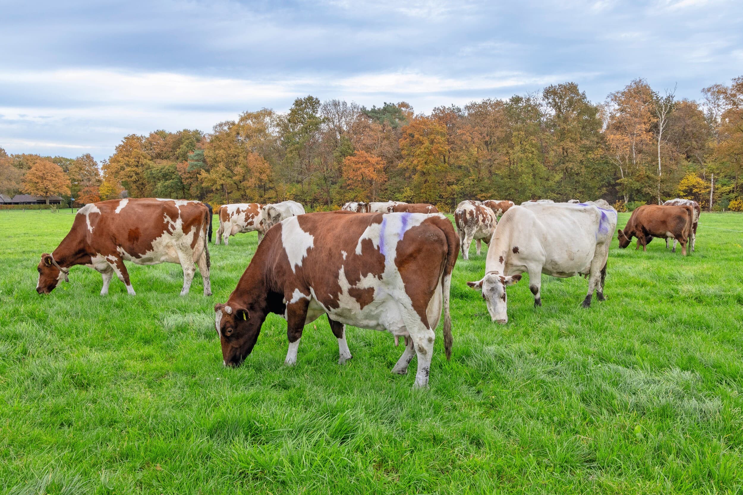 extra investeringen landbouw en natuurherstel
