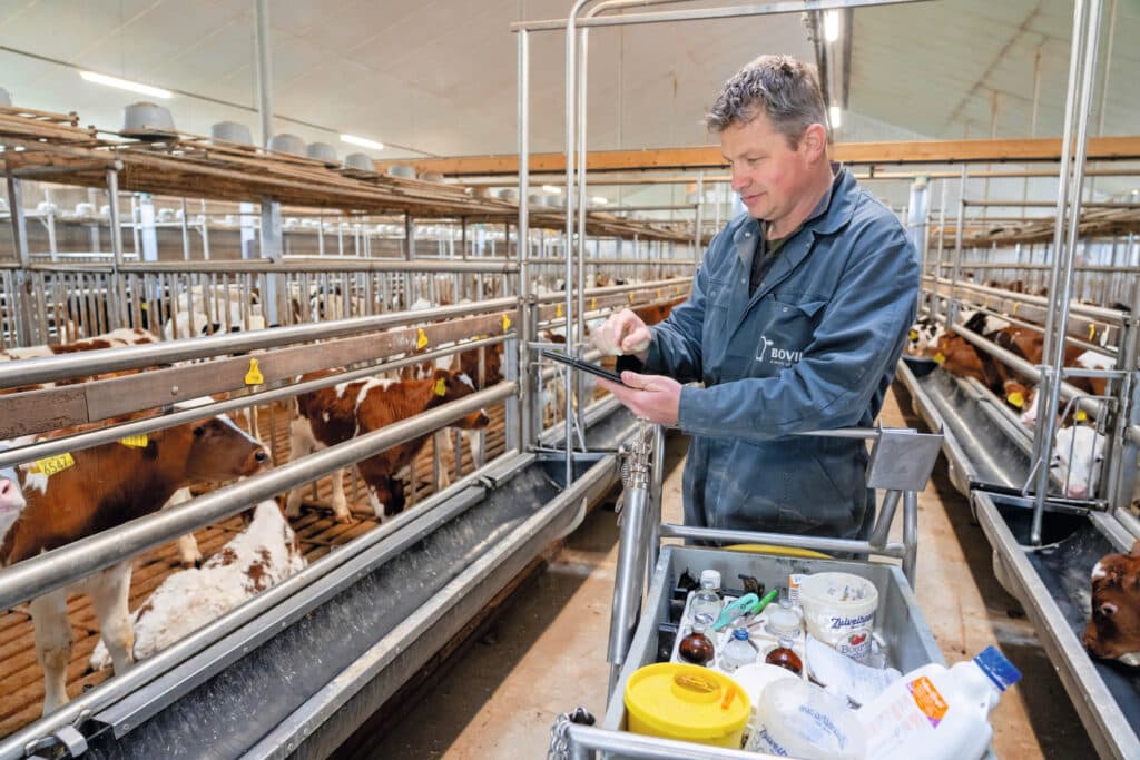 De eerste vijf weken na de aankomst van nieuwe kalveren zijn de drukste tijd. Dan is Jillis veel in de stal. Als deze arbeidspiek voorbij is, heeft hij meer tijd voor het gezin. ‘Welke kant het opgaat met de kalverhouderij en wat de kinderen later willen, dat laten we helemaal open.’