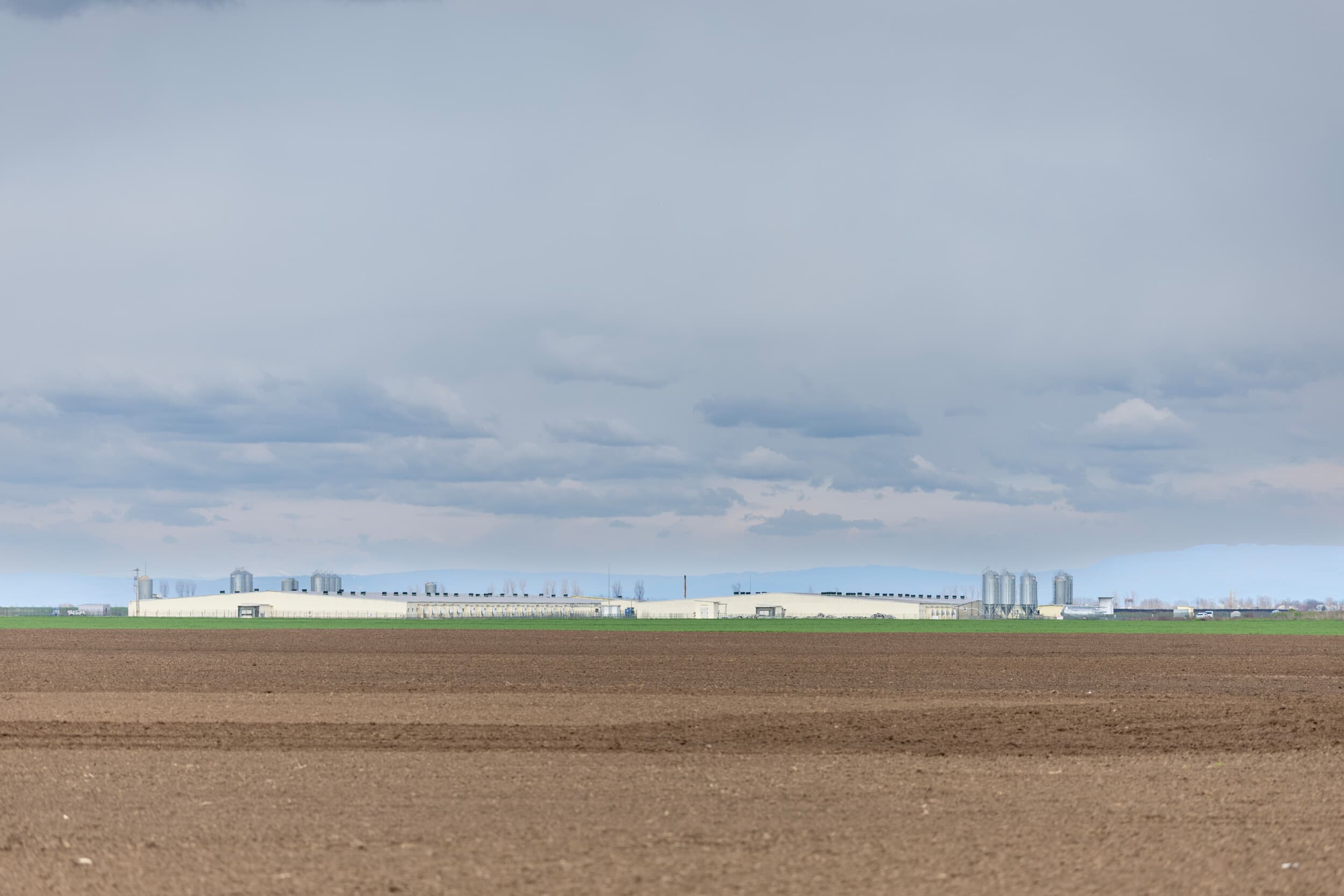 strategisch belang varkenshouderij en voedselzekerheid