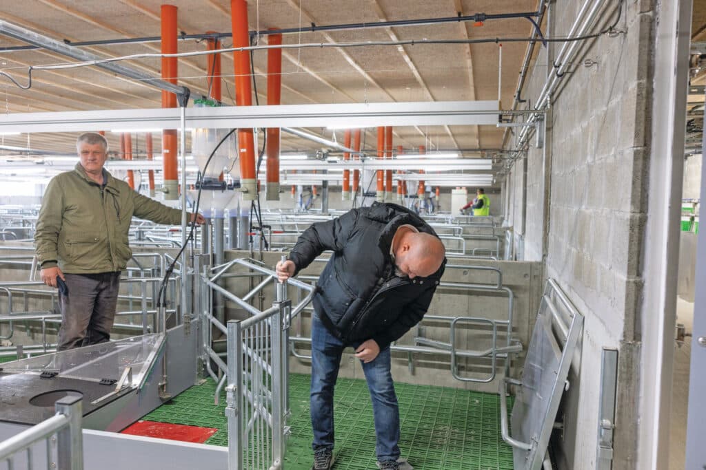 De stal telt 460 vrijloopkraamhokken, van elk 6,5 vierkante meter. Gekozen is voor een schuine opstelling en een verwarmd biggennest plus een warmtelamp. Voor ruimteverwarming zitten er vlinderbuizen in de kraamafdelingen.