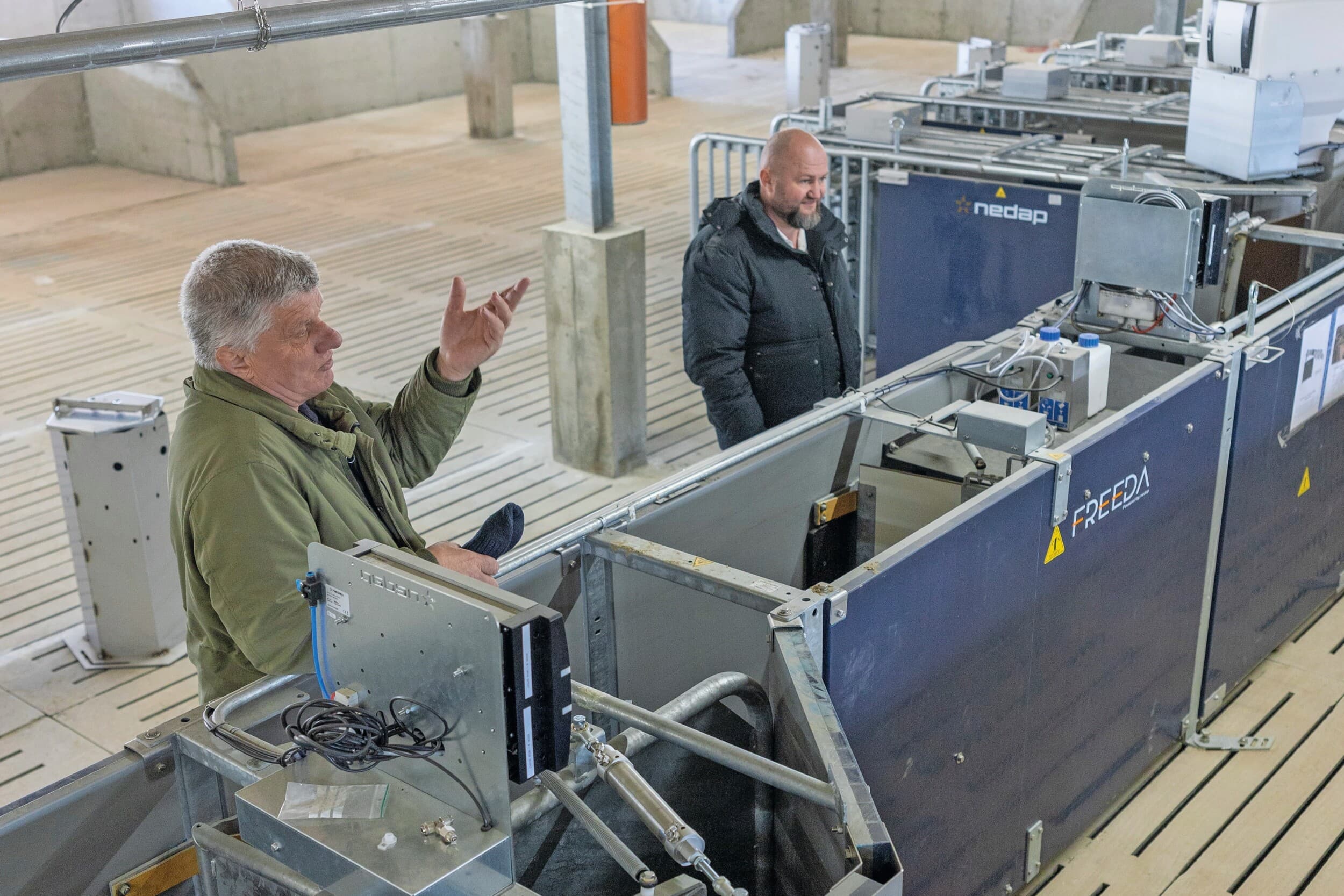 Daniel Galis en op de voorgrond dierenarts Gheorghe Păștean bij de voerstations in de nieuwe zeugenstal. Bij het verlaten van het voerstation worden de zeugen gewogen voor de conditiemonitoring.