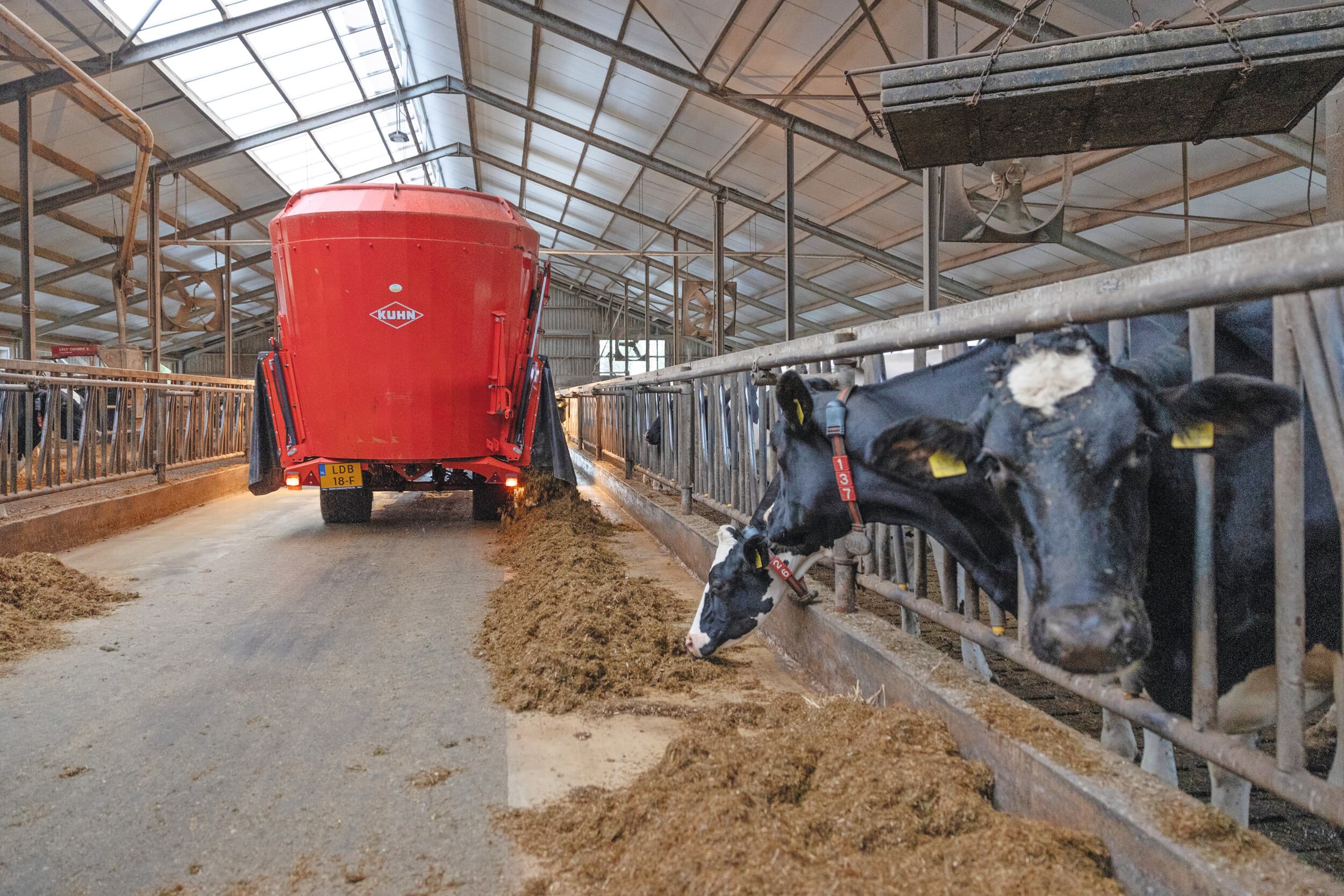 Agrifirm introduceert nieuwe, complete mineralenmengsels onder de naam ‘ZomerZak’. Deze kunnen via de voermengwagen worden gevoerd. Foto: Herbert Wiggerman