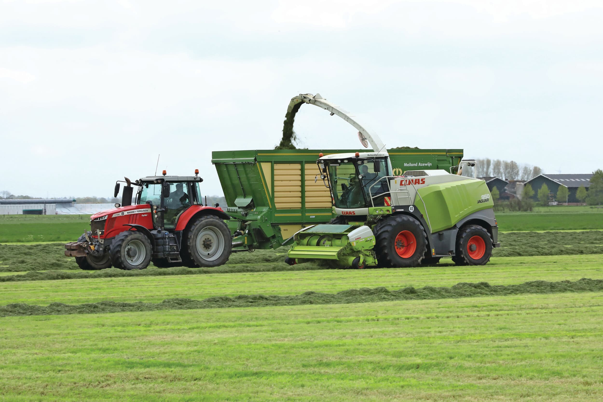 Maaihoogte ruweiwitgehalte winterrantsoen