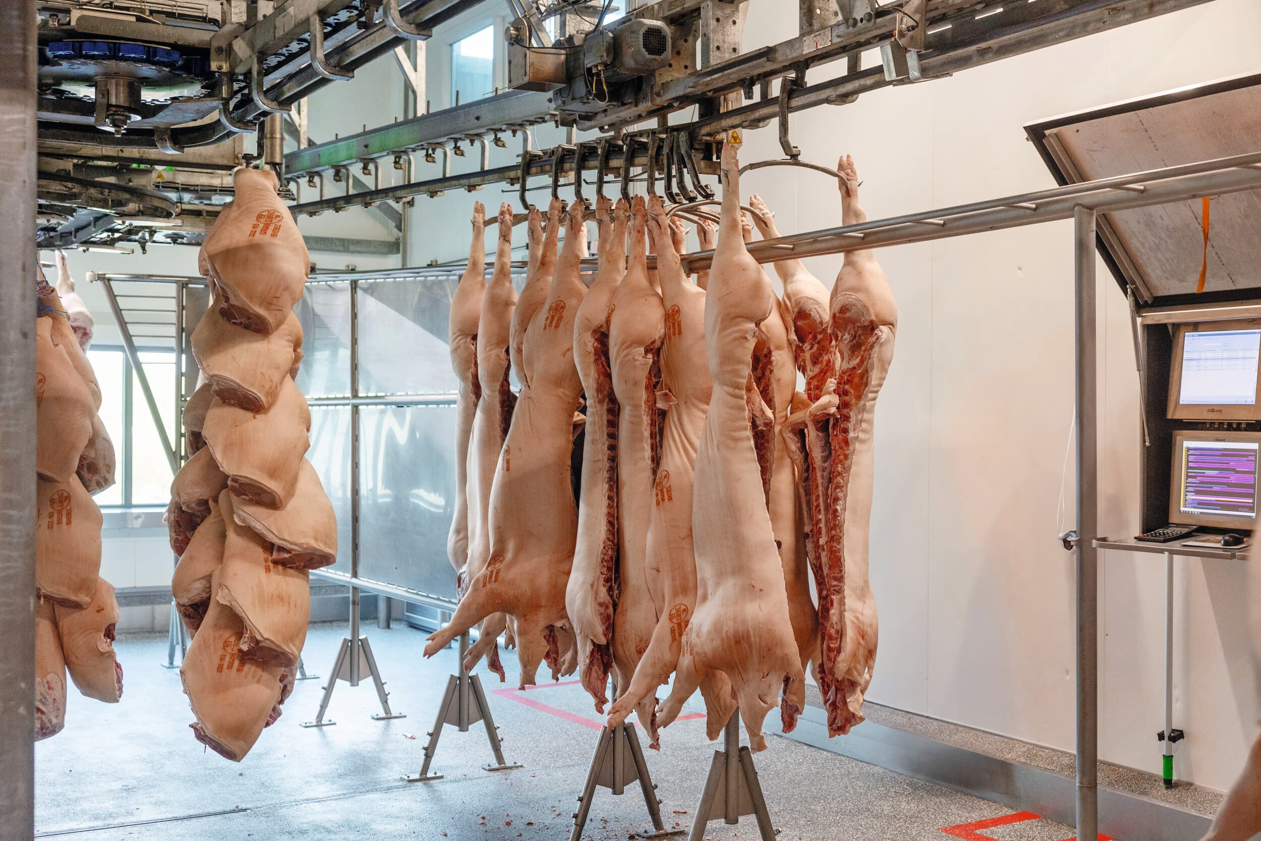 De stakingsdag van rijksambtenaren raakt zeven slachterijlocaties. Vier daarvan blijven dinsdag dicht. Foto: Herbert Wiggerman