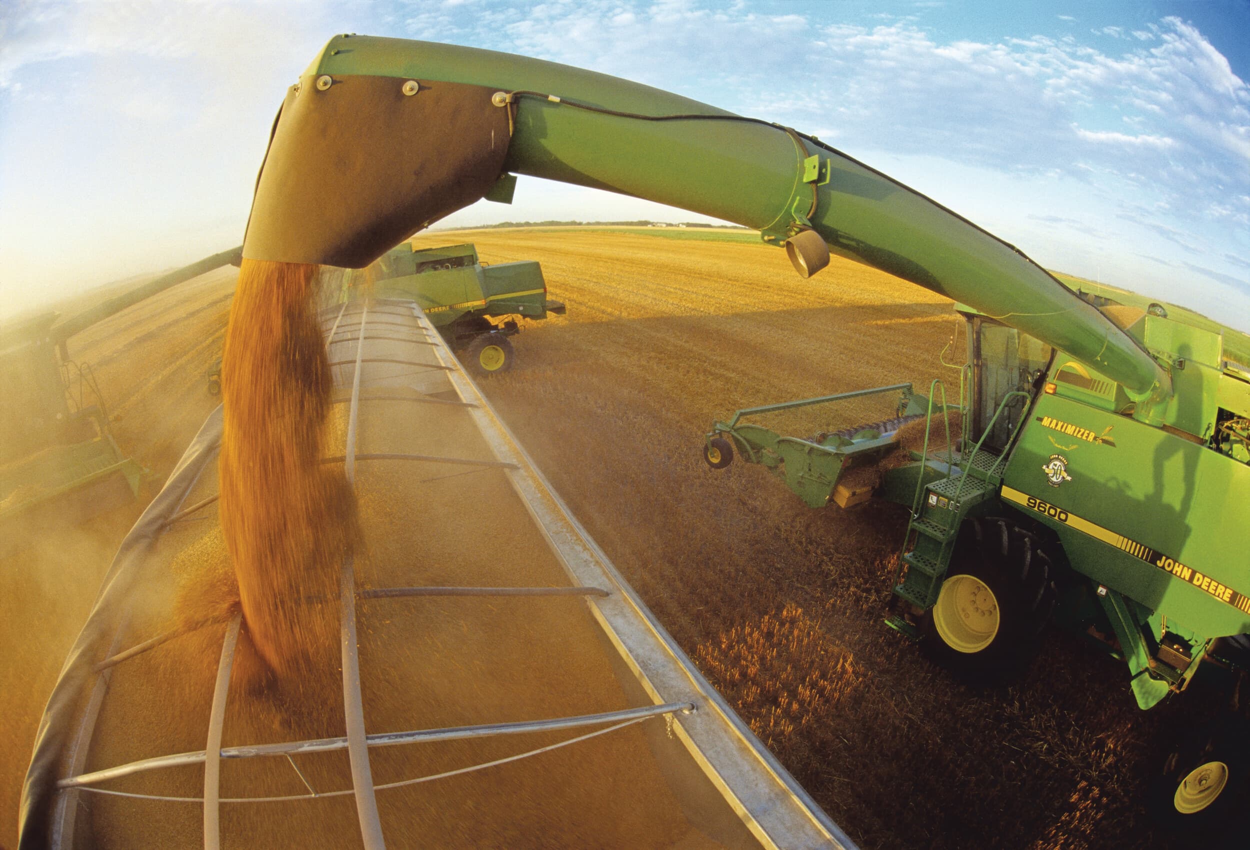 Akkerbouw, vooral de teelt van granen, was in 2025 goed voor ongeveer de helft van de totale omzet van Monette Farms. Foto: ANP