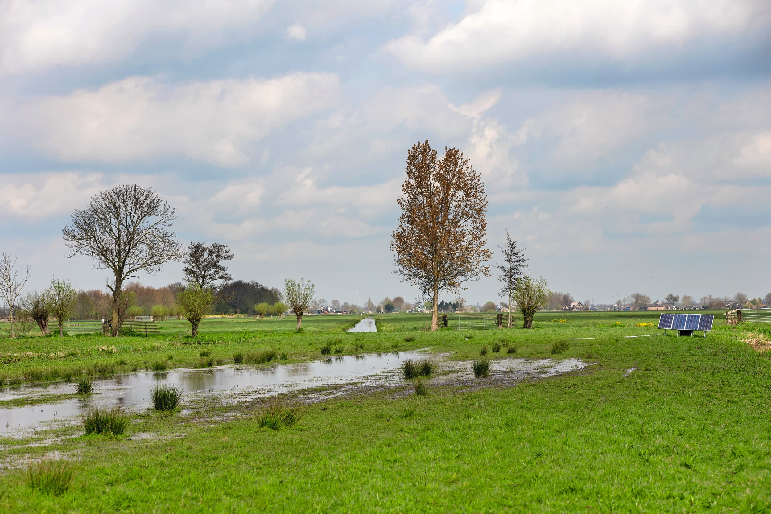 Plas-dras voor weidevogels. Foto: Roel Dijkstra