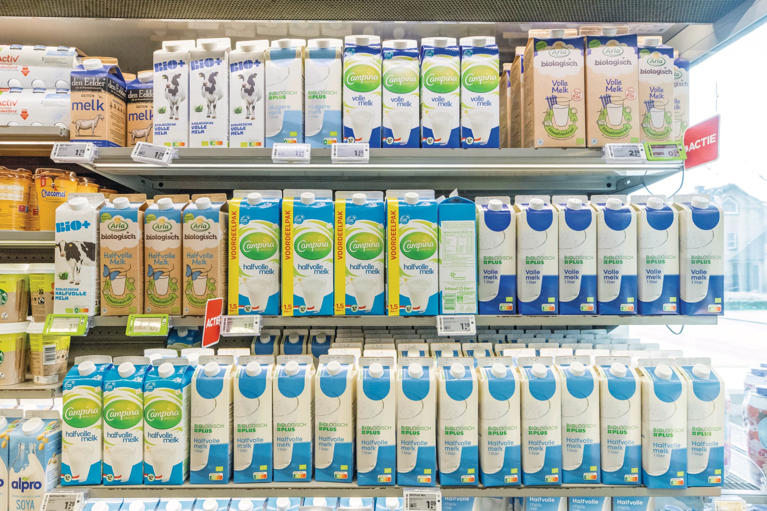 Leverancierscoöperatie Eko Holland moet een nieuwe bestemming zoeken voor zo’n 5 miljoen kilo biologische melk. Foto: Koos Groenewold