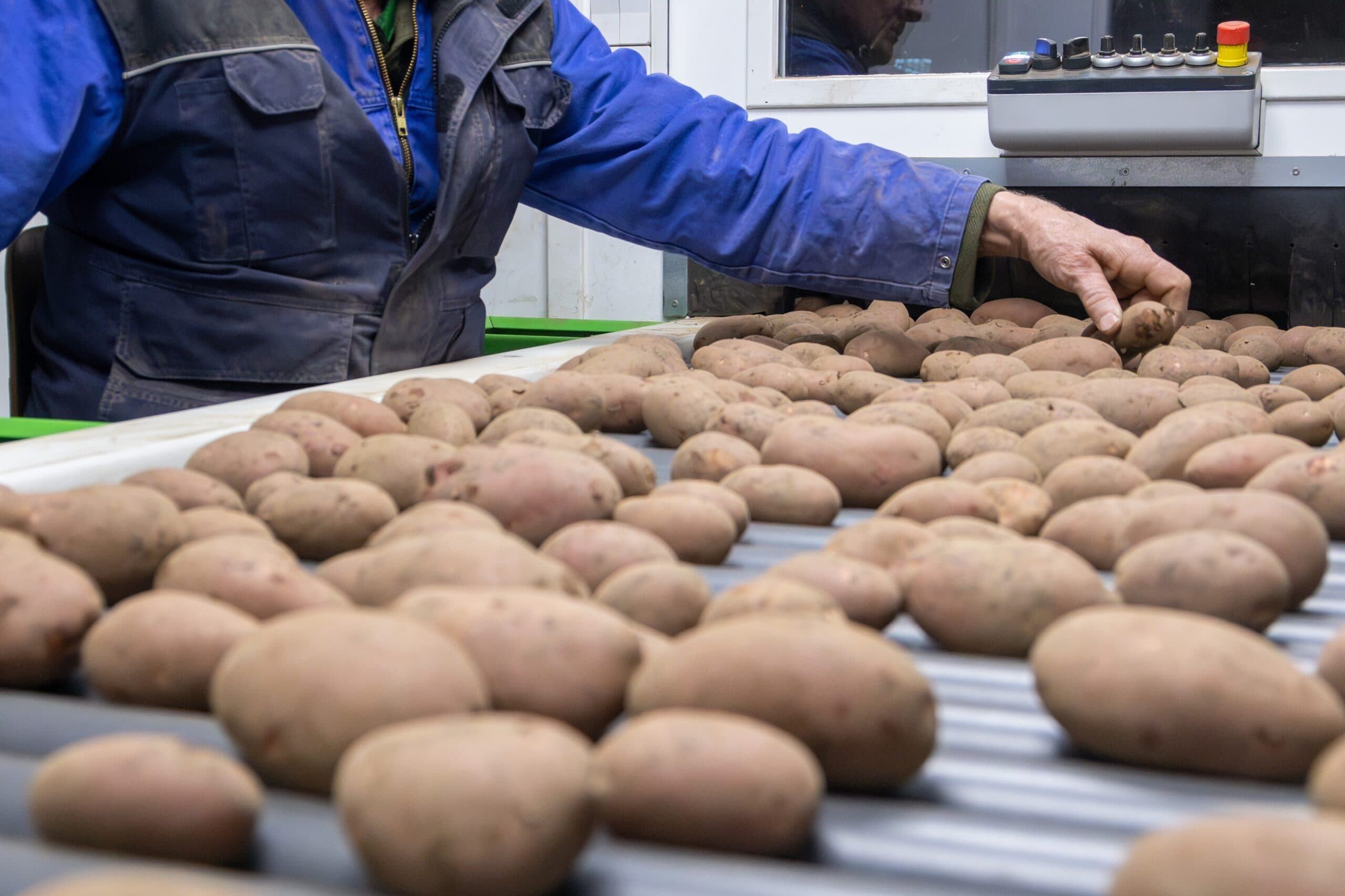 Agrico ziet pootgoedprijs duidelijk terugvallen