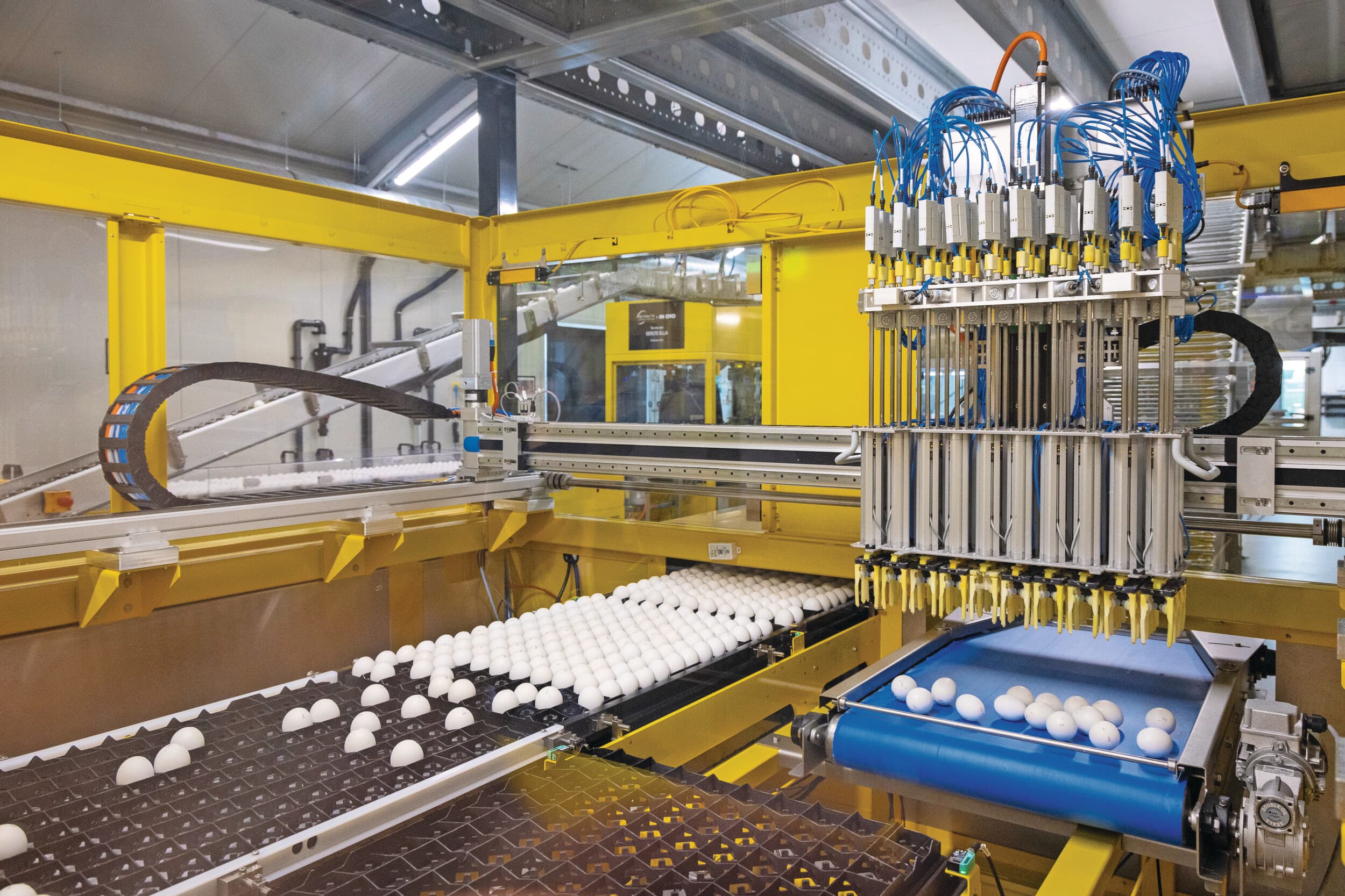 De sector is klaar voor ZED-eieren. Broederijen hebben geïnvesteerd in machines om geslachtsbepaling in het ei toe te passen. Binnen IKB is een aparte module opgetuigd voor ZED. Foto’s: Koos Groenewold