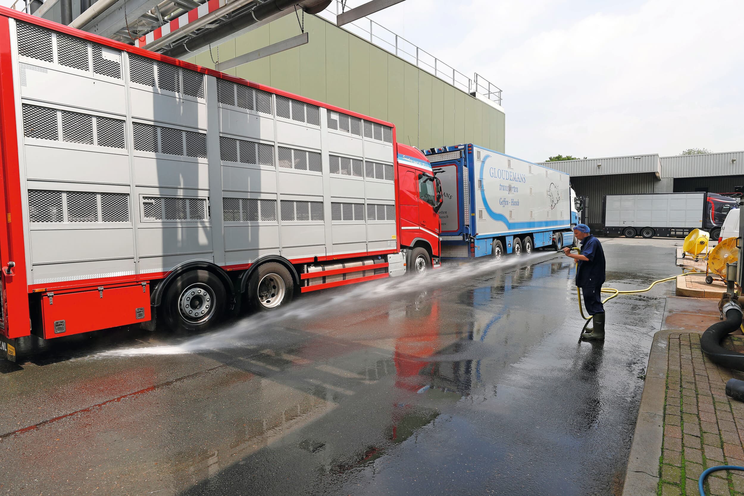 Hittemaatregelen diertransport