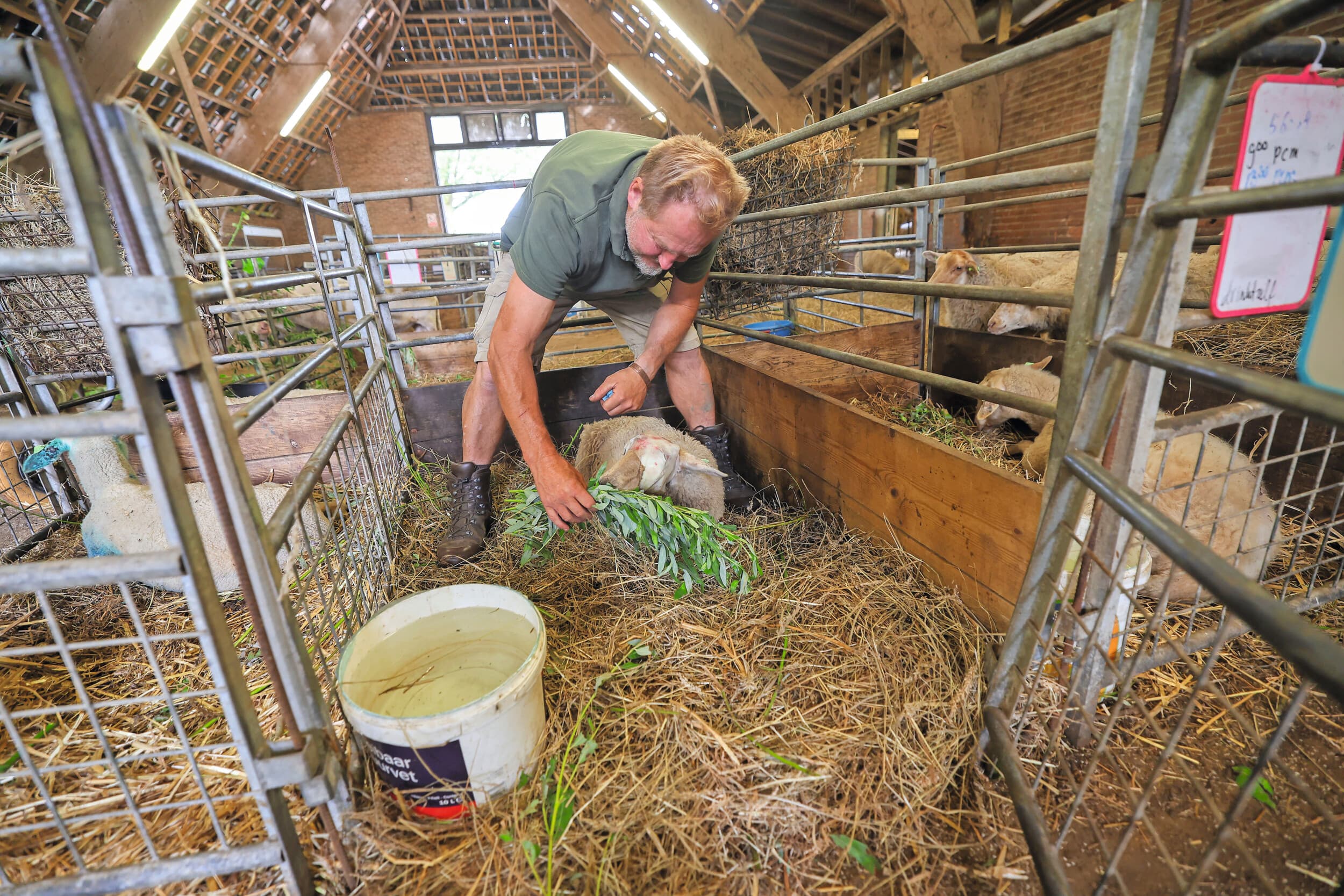 meldplicht blauwtong blijft