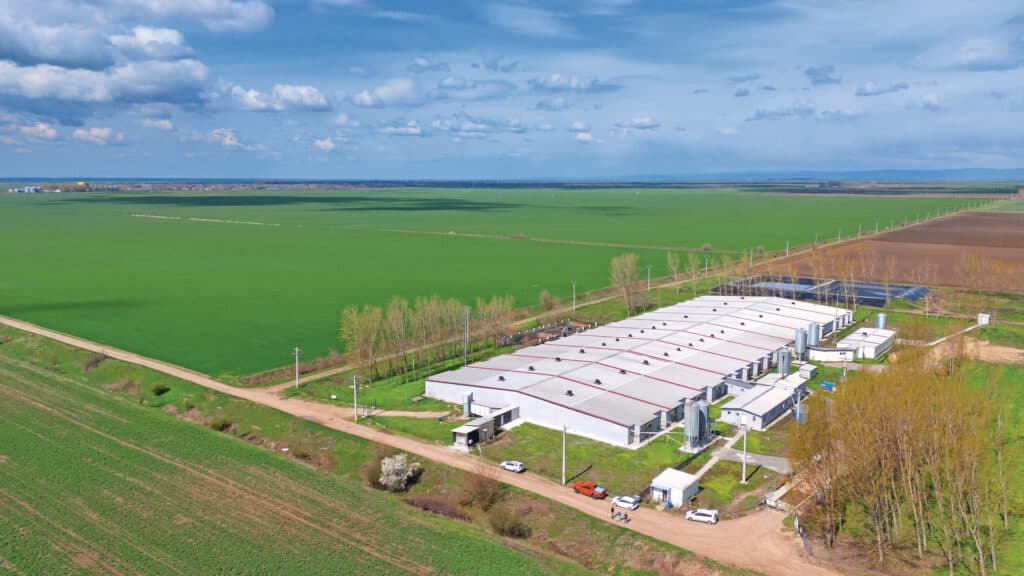 De stal met plaats voor 1.300 zeugen en biggenopfok staat midden tussen de landerijen waar volop voedergewassen groeien.