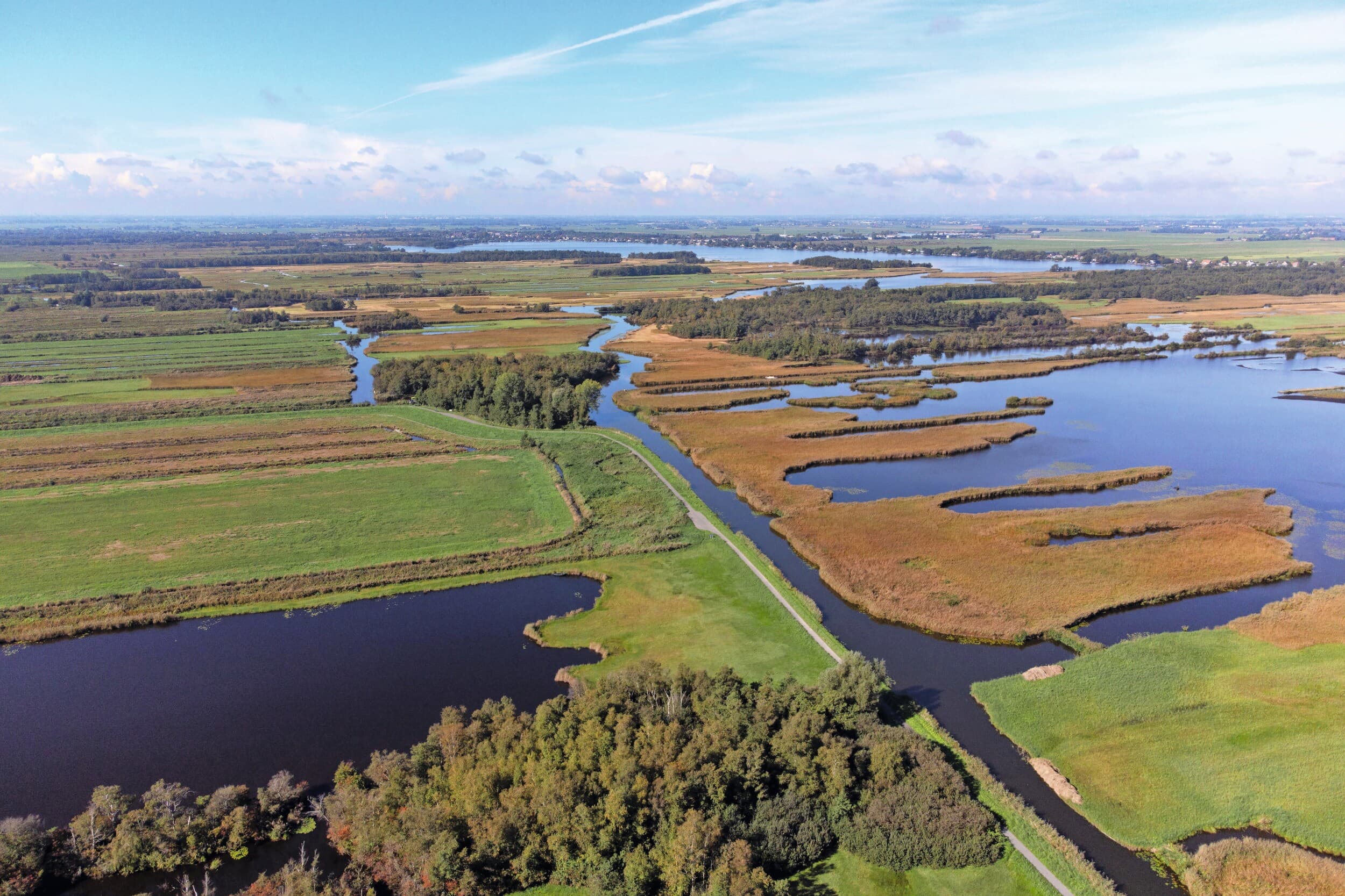 Het kabinet-Jetten presenteert 26 juni zijn stikstofpakket. Ondertussen zitten er nu al veel boeren in de knel en in steeds meer categorieën: PAS-melders, interimmers, intern saldeerders. Hoe staan zij ervoor? Foto: Herbert Wiggerman