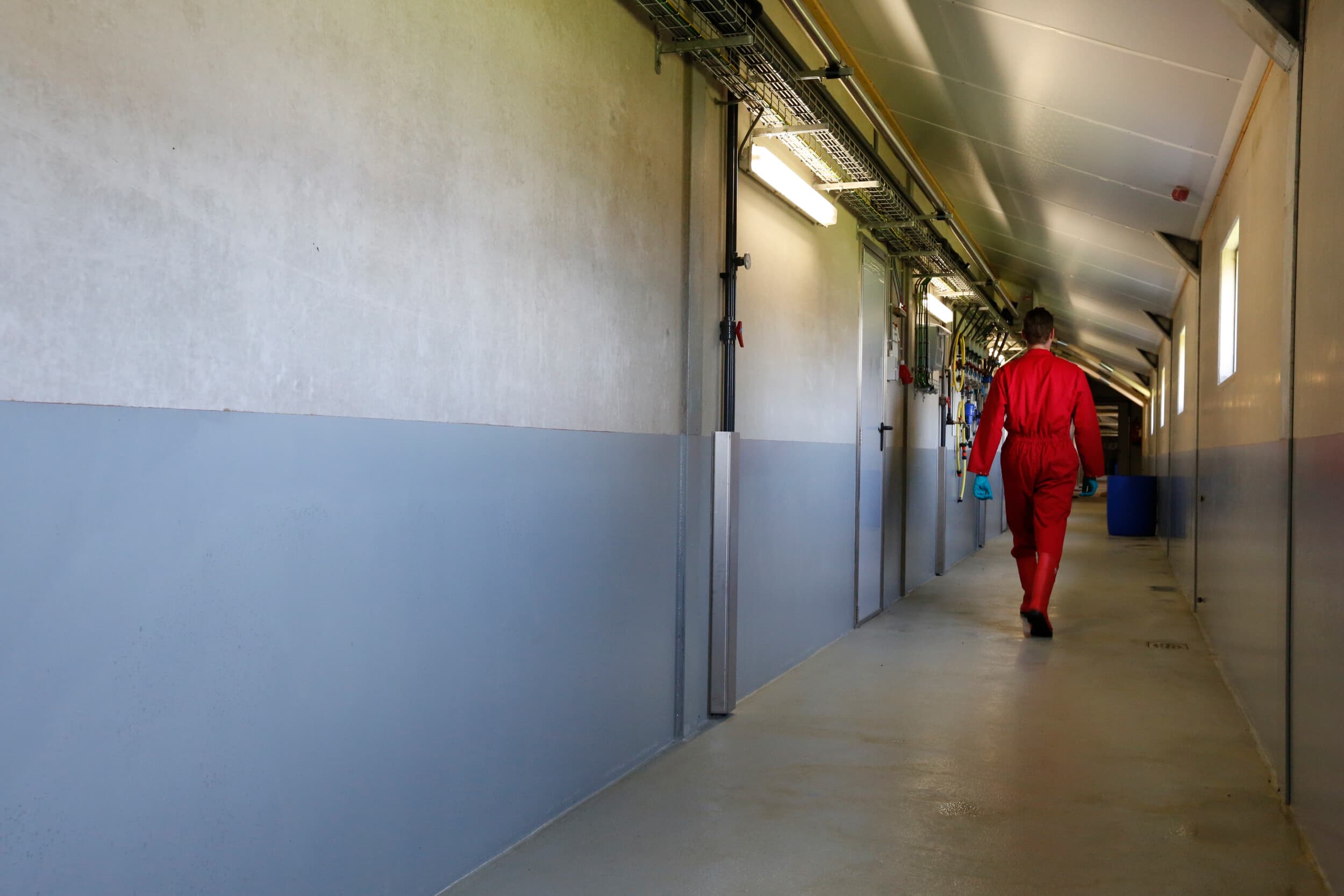 ‘Vaccinatie verlaagt de virusdruk, biosecurity sluit de deur’. Foto: Henk Riswick