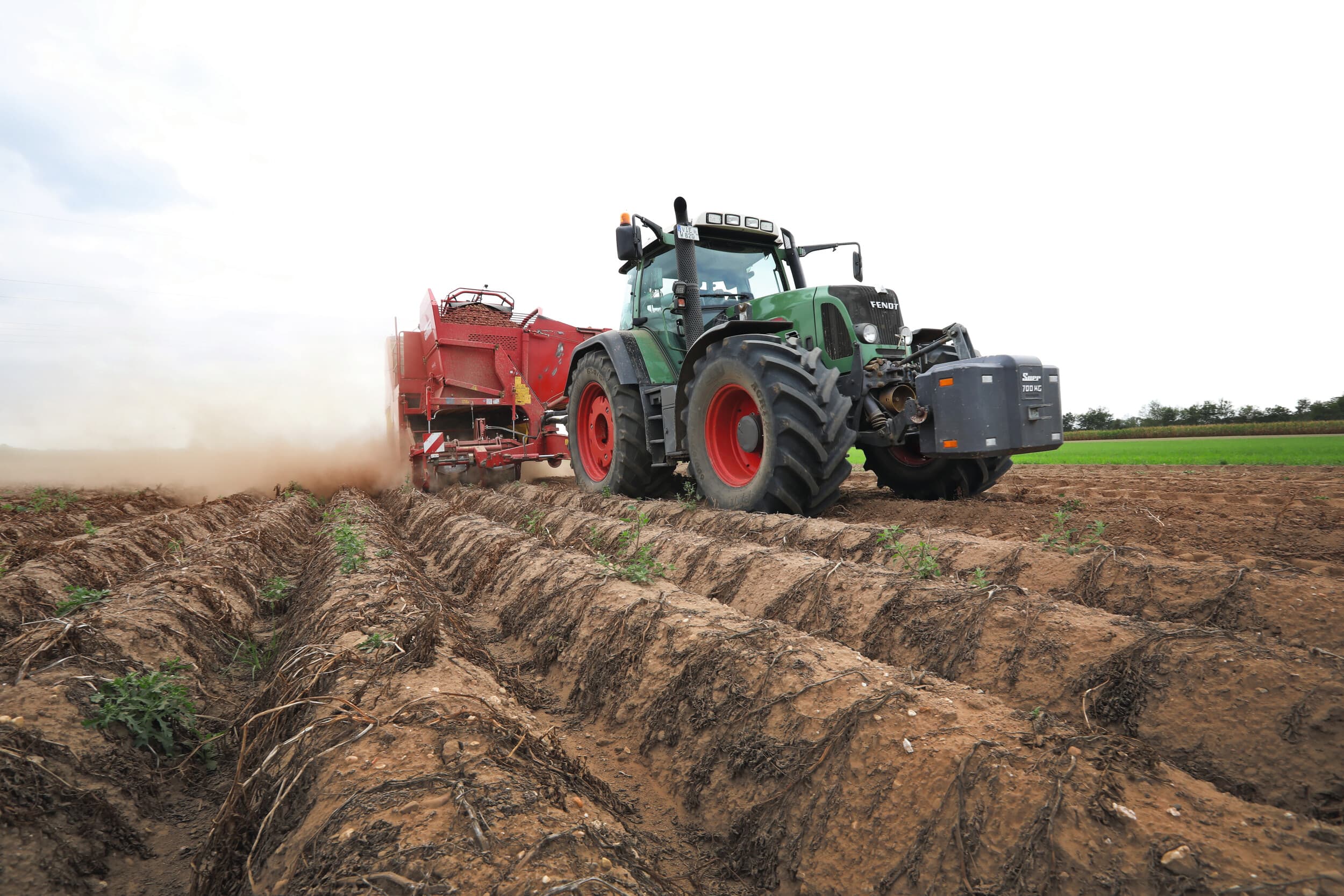krimp Duits areaal aardappelen