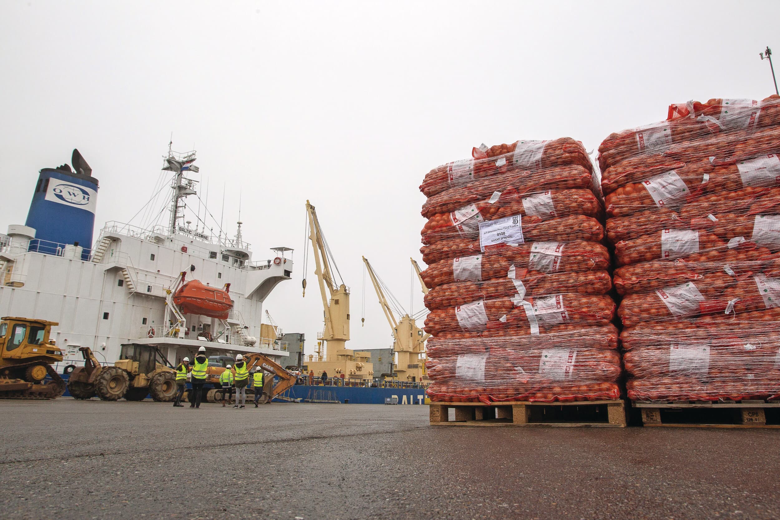 export aardappelen uien afrika