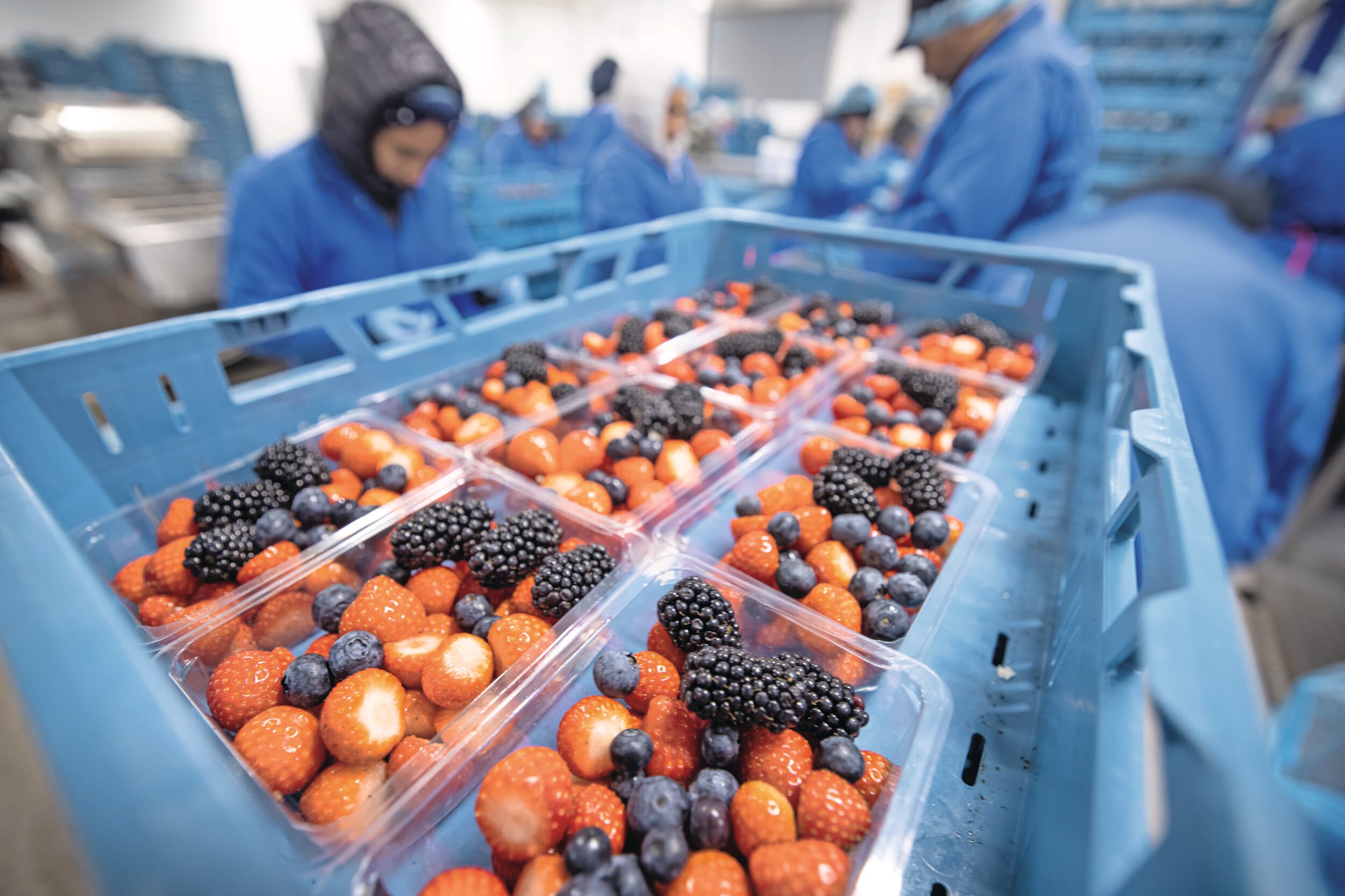 gewasbescherming zacht fruit
