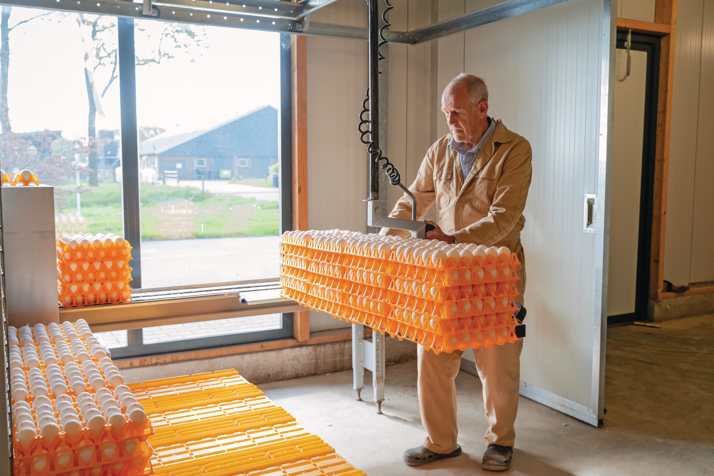 Terwijl de hoge eierprijs na Pasen langzaam maar zeker wat afbrokkelt en naar beneden wordt bijgesteld, zijn nog altijd goede afspraken te maken voor de lange termijn. Foto: Andre van Schaik Fotografie