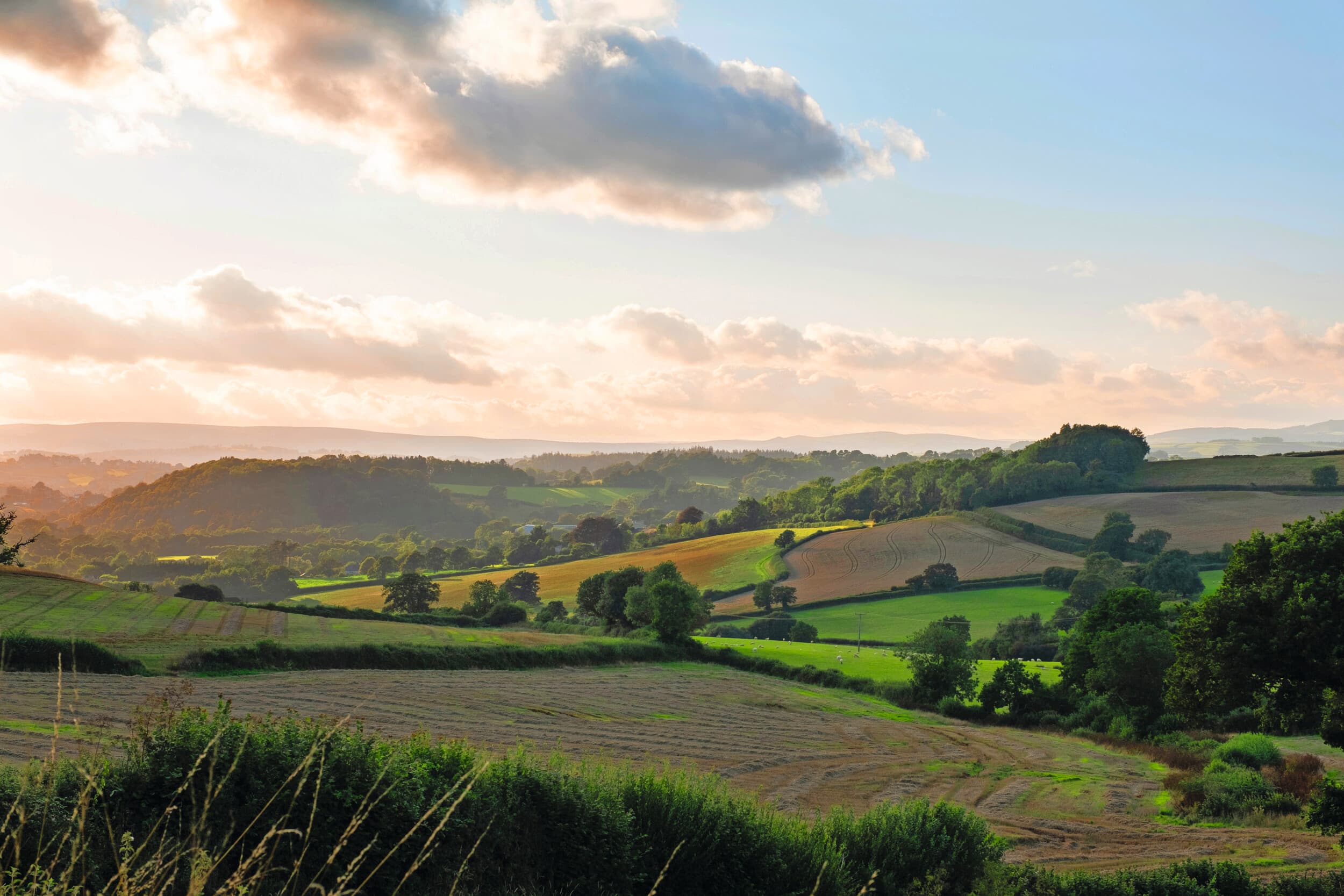 Britse markt biologische voeding