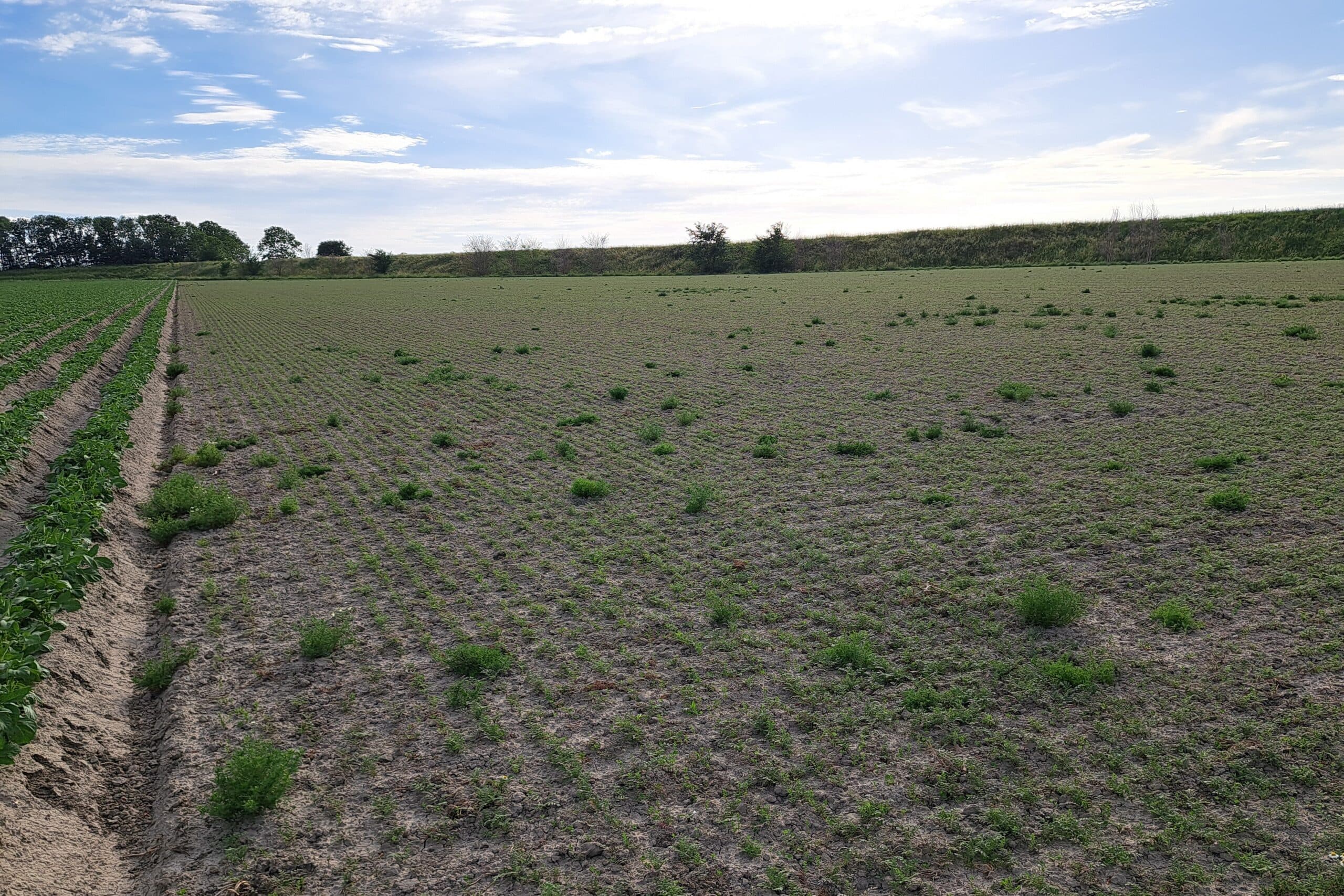 RVO eco-regelingen droogte
