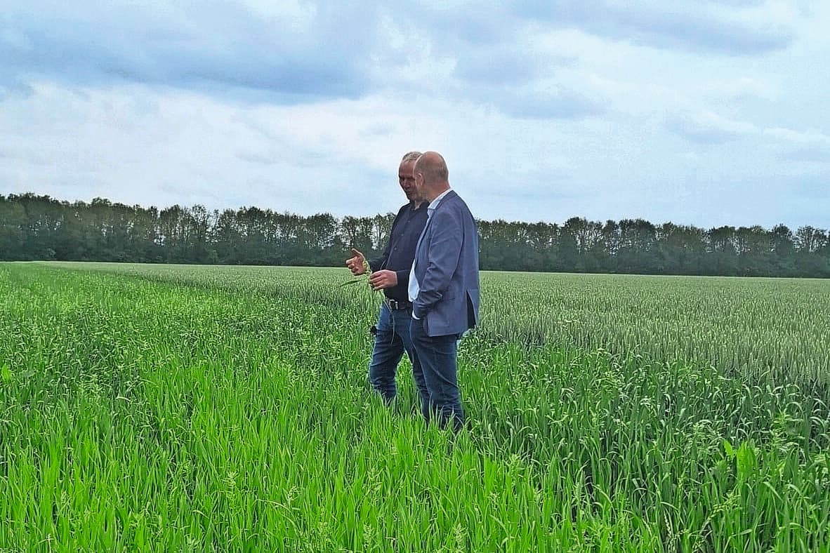 Erik Emmens gewasbescherming
