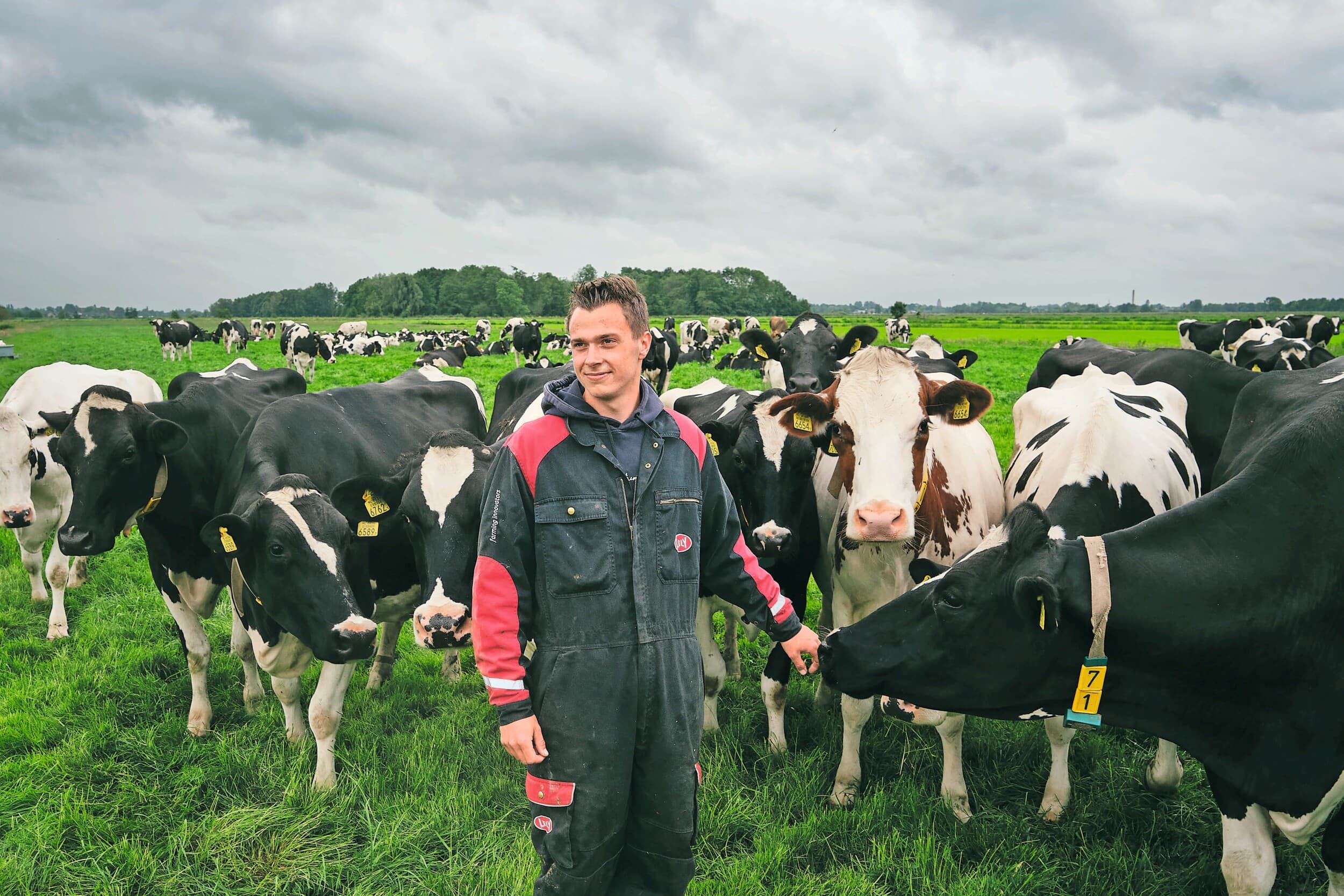 opvolging melkveebedrijf Niels