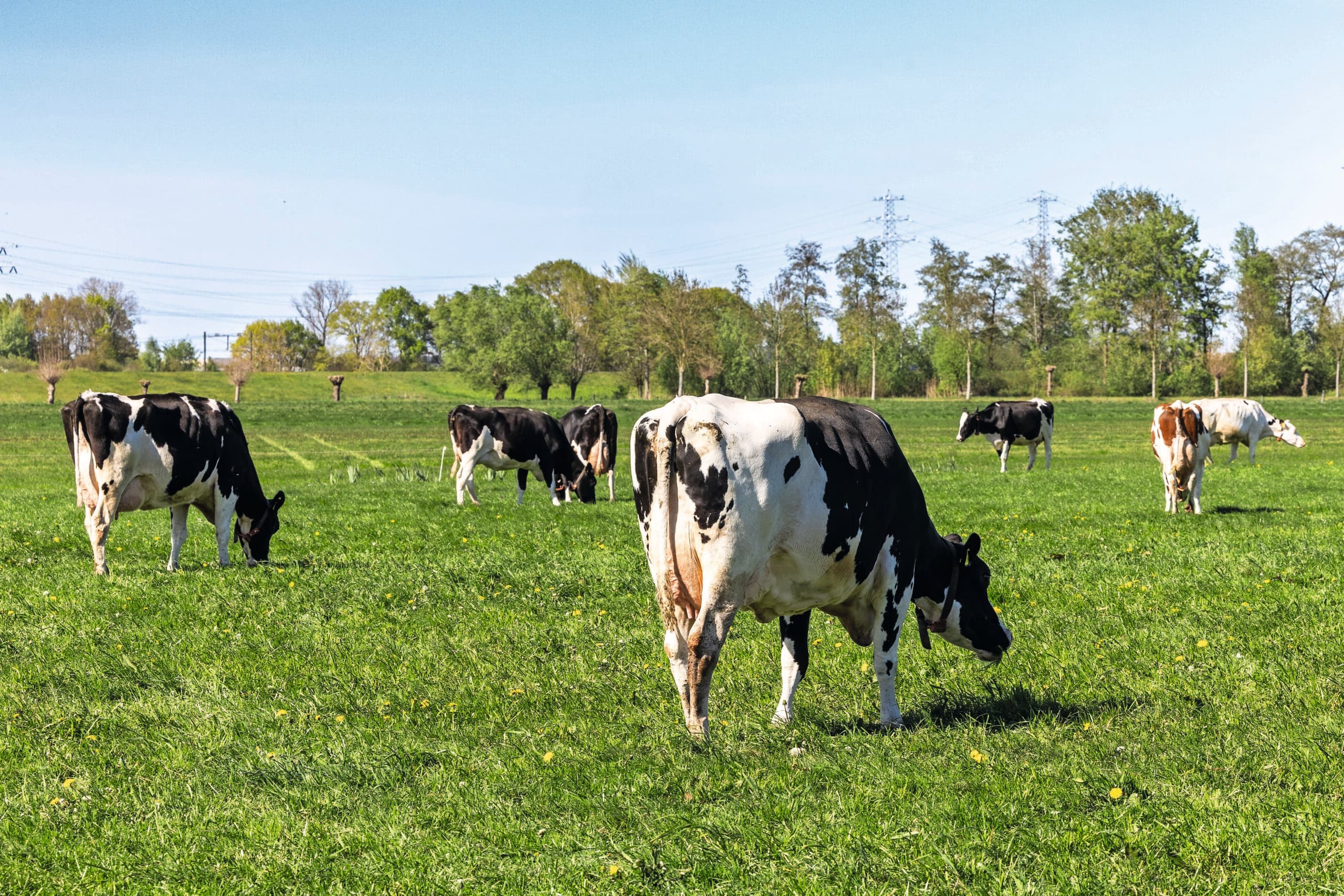 nederland gidsland agrifood
