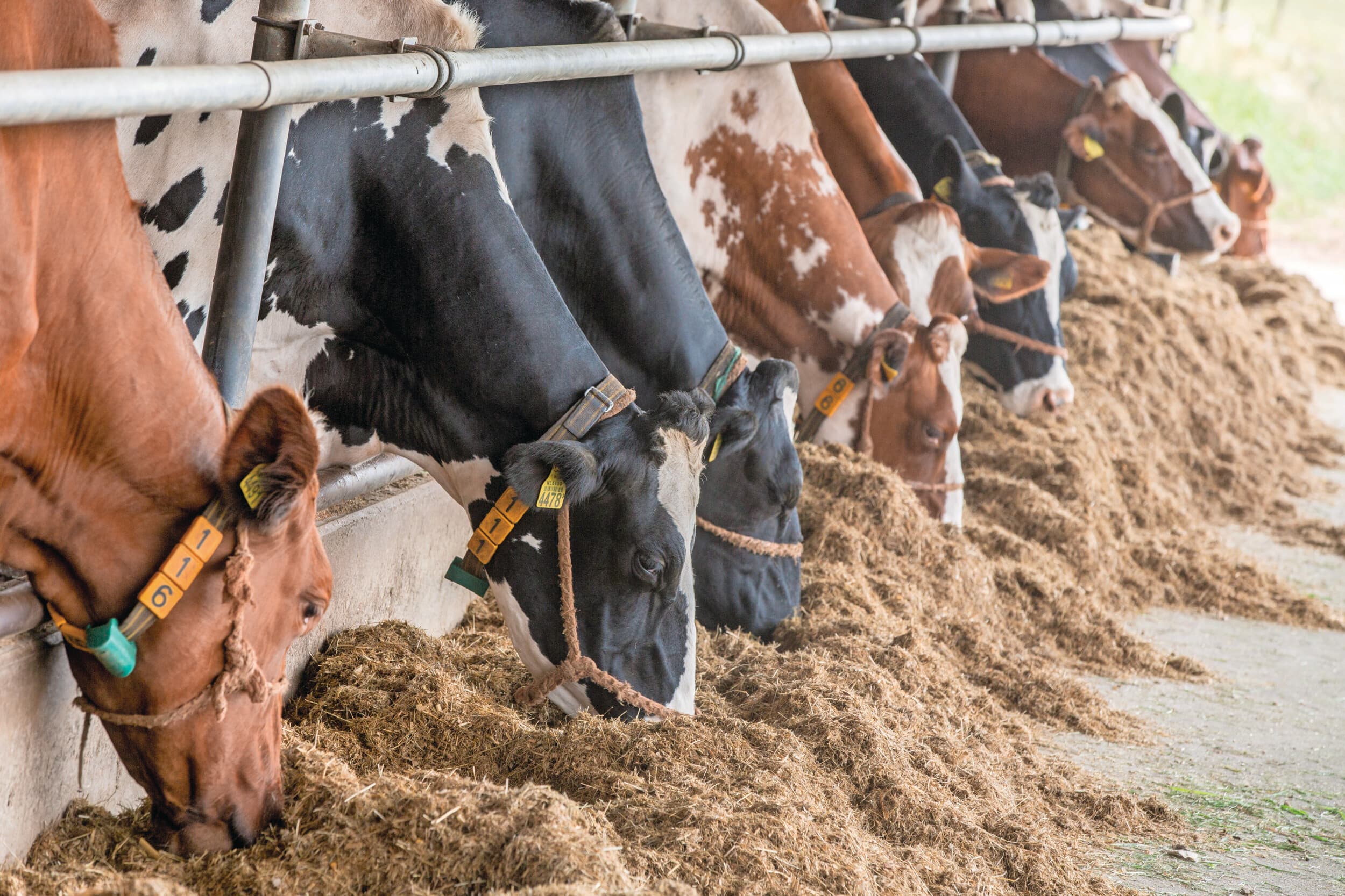 Dumea partner Dairy Academy A-Ware