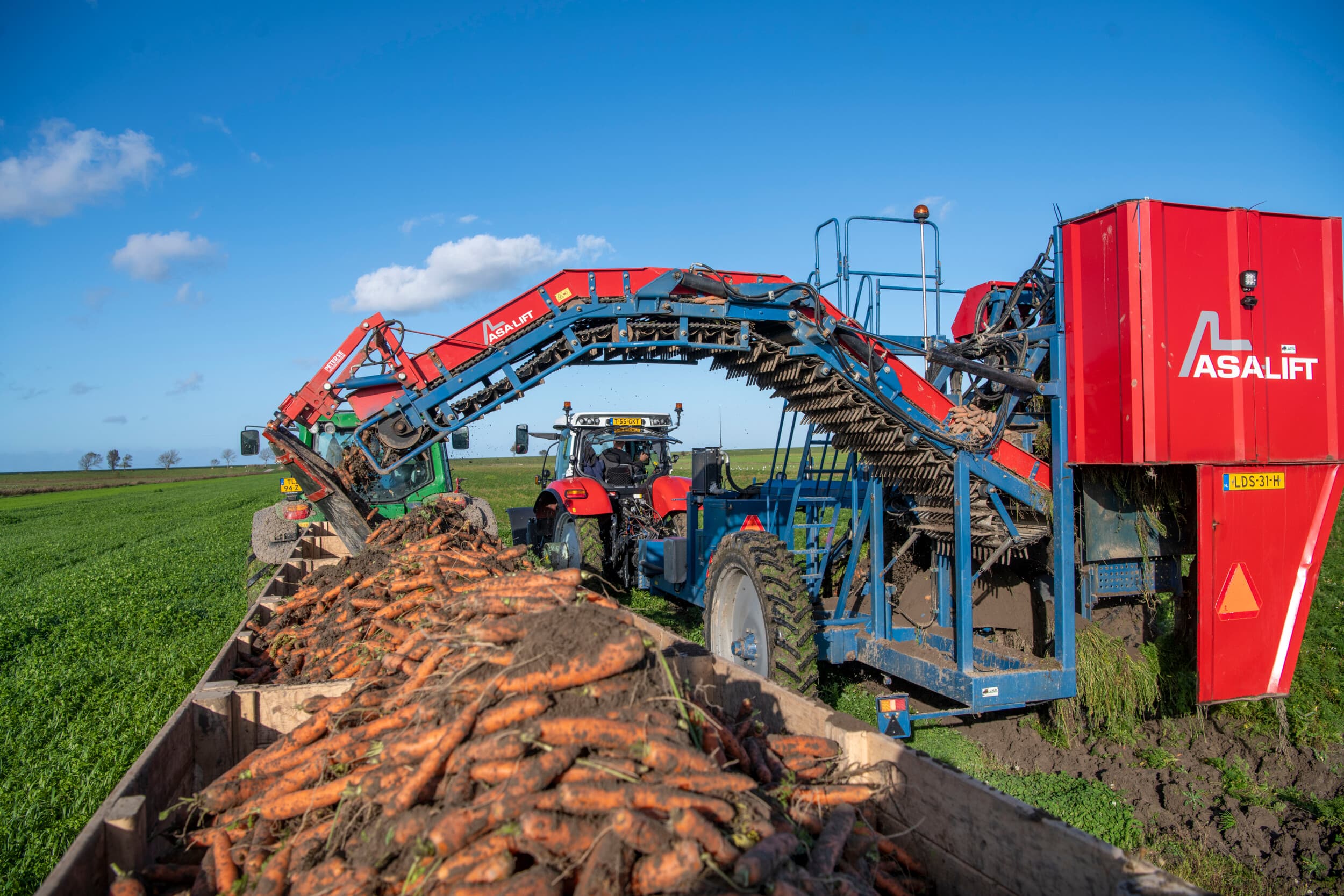 Oogst van biologische wortelen in oktober 2024. Innovatie moet de Nederlandse landbouw weerbaarder maken tegen klimaatverandering, internationale concurrentie en geopolitieke spanningen. Foto ter illustratie. Foto: Mark Pasveer