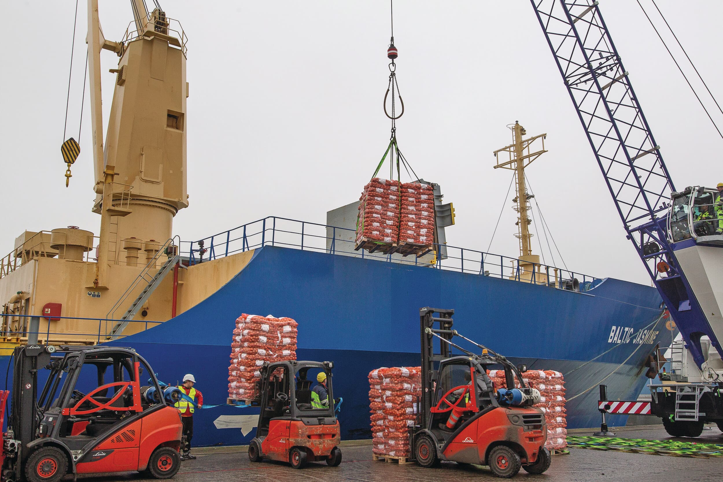 Uien laden voor Senegal, de grootste exportbestemming voor Nederlandse uien. Foto: Peter Roek