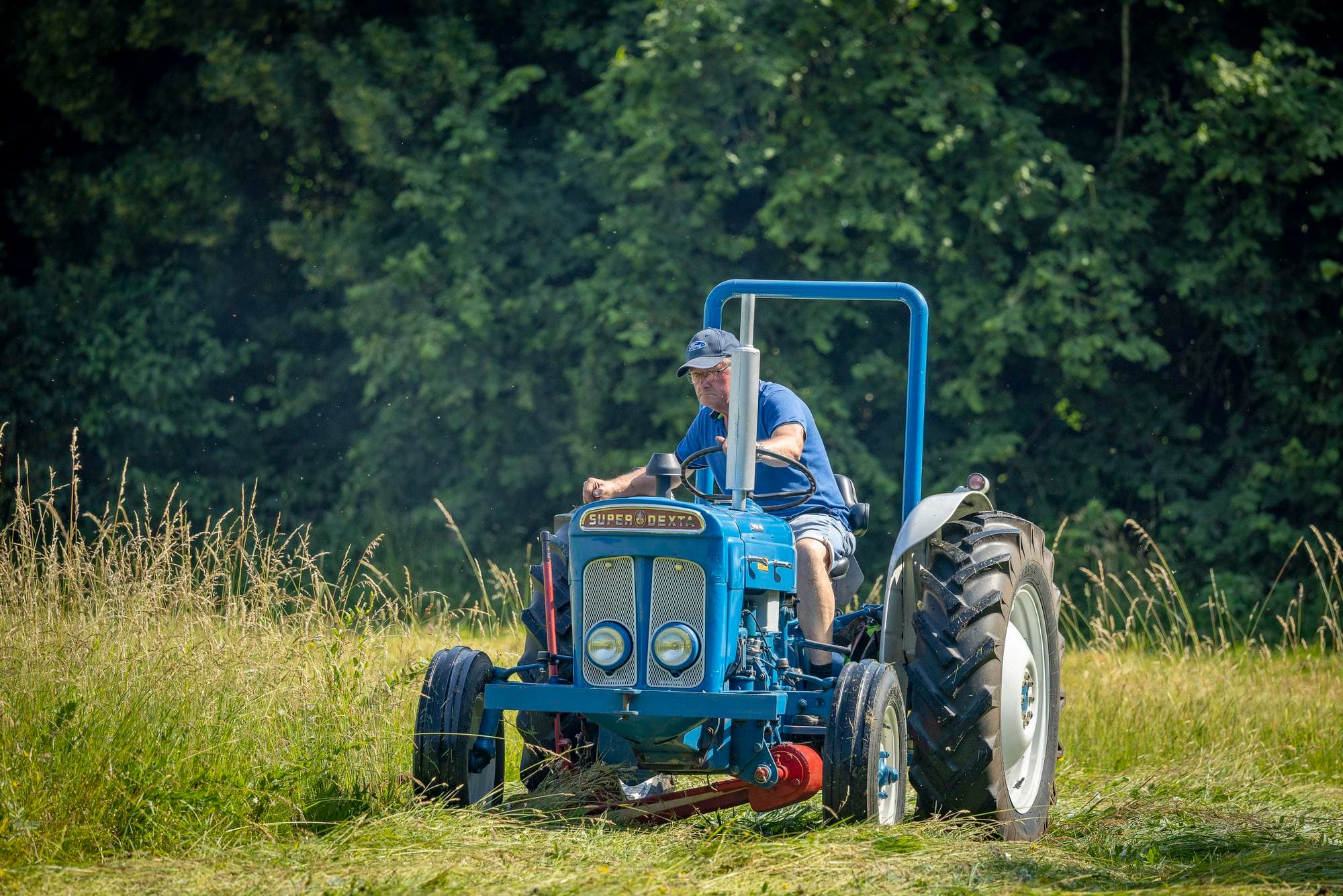 Johan Pannekoek uit Epe op zijn Ford 3000, oftewel de Fordson Super Dexta. Zo worden ze niet meer gemaakt, zou menig liefhebber zeggen. Hij werd tussen 1962 en 1964 geproduceerd in het Britse Dagenham, in de Fordfabriek aldaar. Het was de laatste trekker die de beroemde naam Fordson kreeg. Ford maakte al gewone Dexta’s. Niemand weet overigens waar deze naam vandaan komt. Was het een afgeleide van het kleine runderras Dexter? Of een verbastering van het woord ‘dextrous’, dat behendig betekent? Niemand die het weet. Feit is dat de Super Dexta een aantal ingenieuze verbeteringen bevatte die hem meer power gaven dan zijn voorgangers. De grotere motor werd wel flink heet. Daarom was een grotere radiateur nodig, wat leidde tot een nieuwe ‘look’ met een vierkante neus en koplampen die – opvallend en onopvallend tegelijk – in de radiateur verzonken zijn.